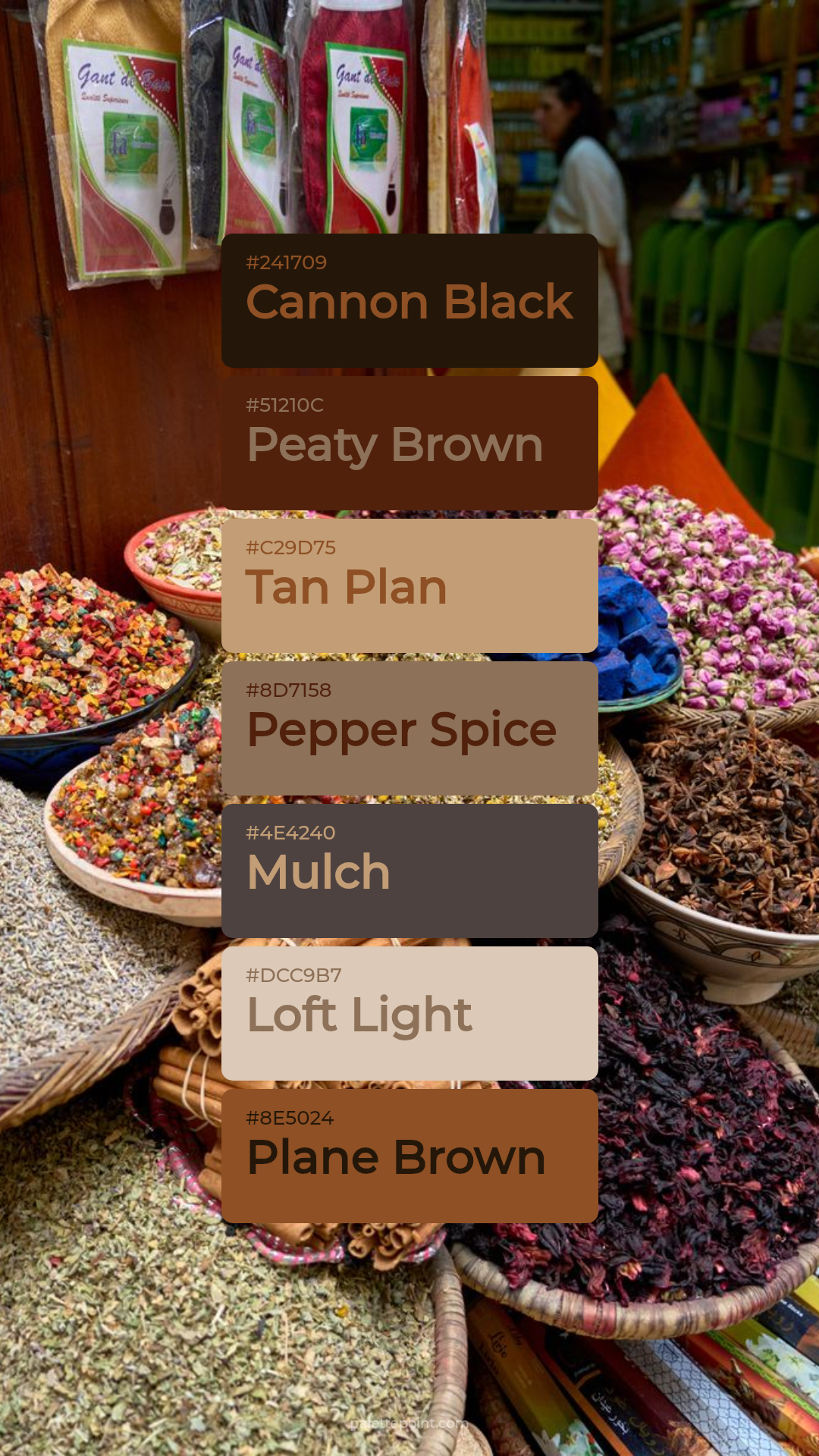 Cannon Black & Peaty Brown palette card