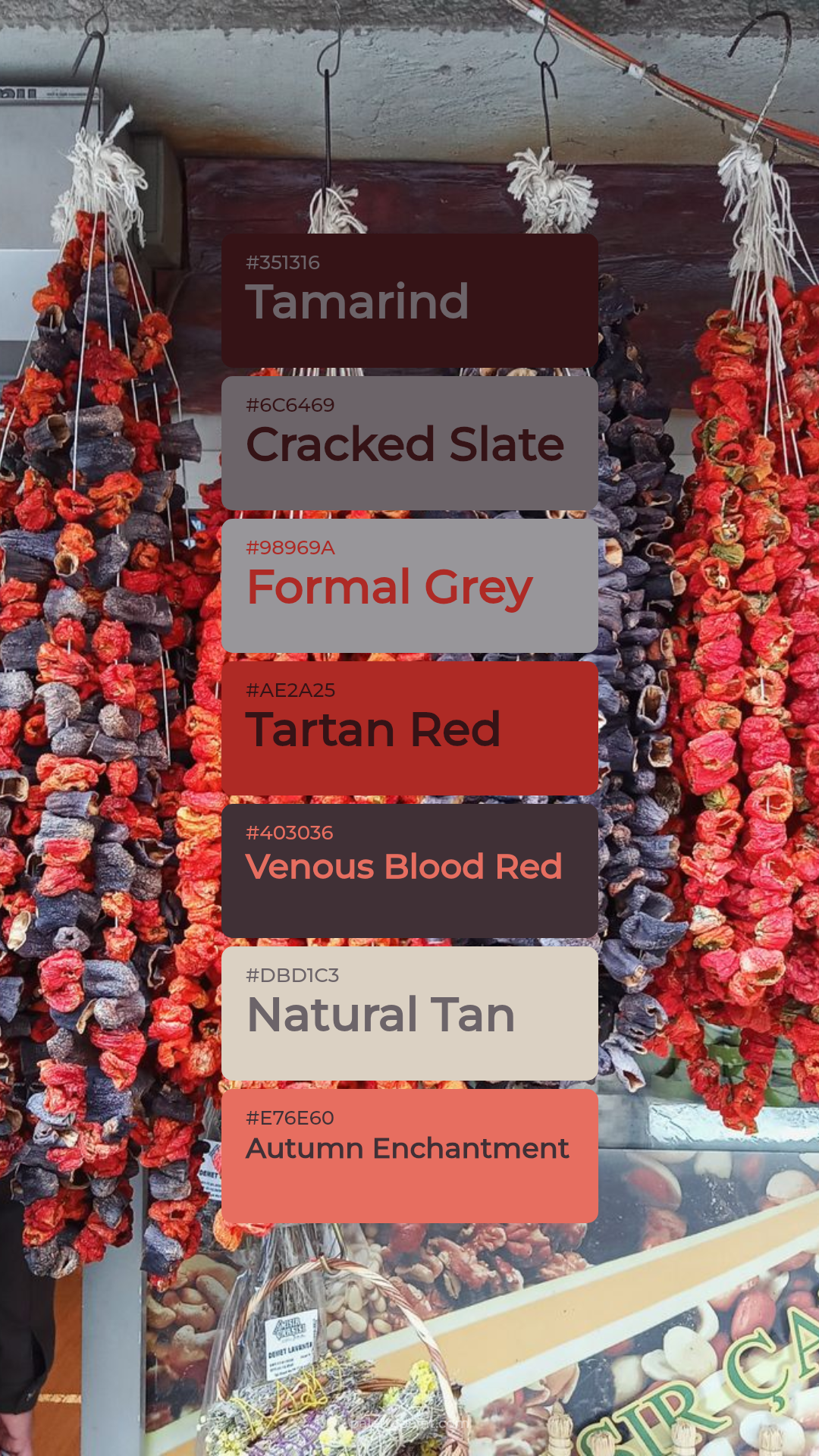 Rich Tamarind Collection palette card