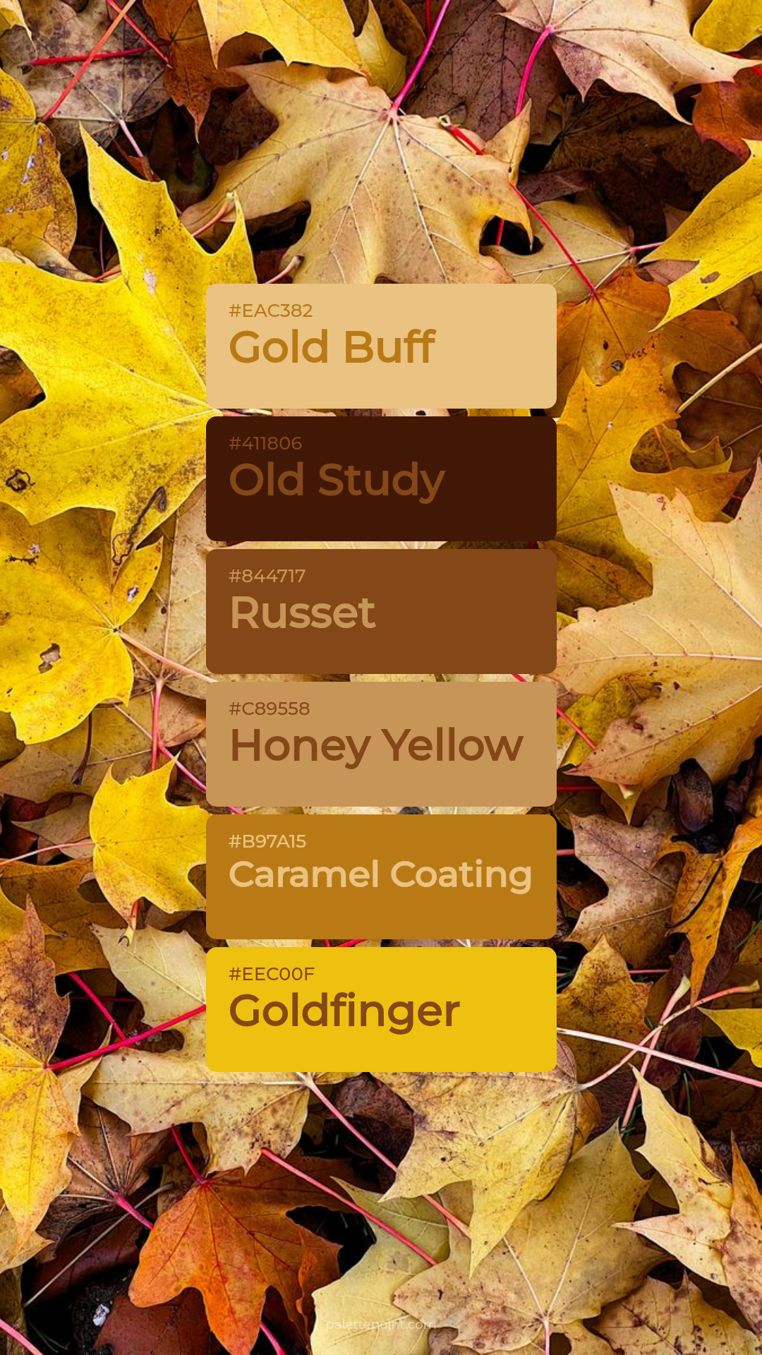 Elegant Gold Buff Harmony palette card
