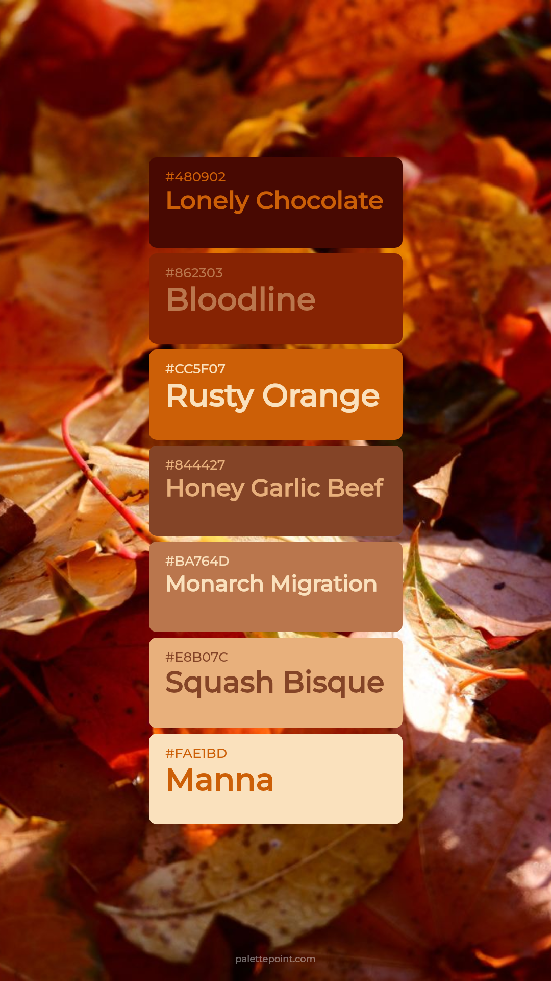 Bold Harmony palette card