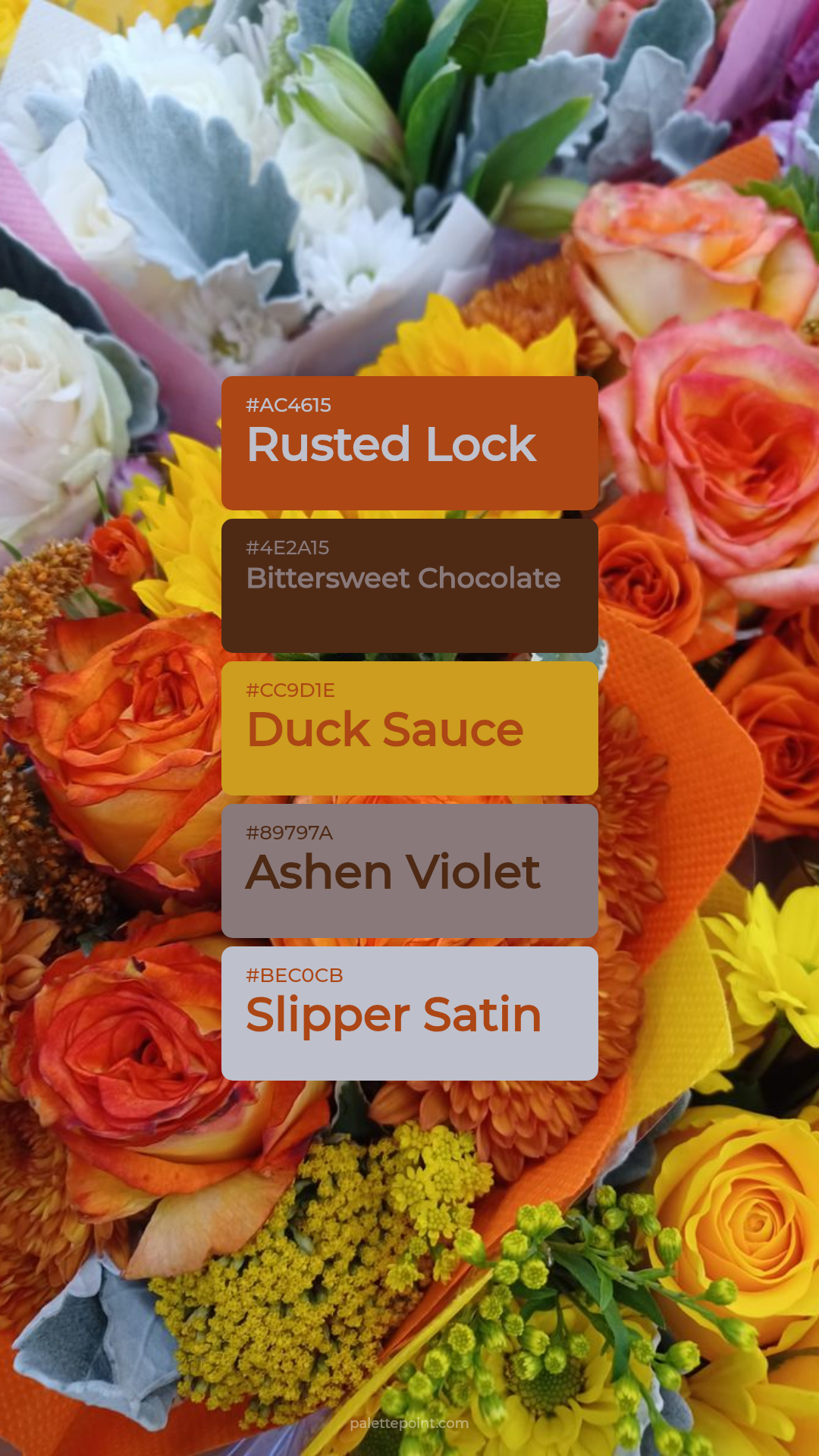 Radiant Hues palette card