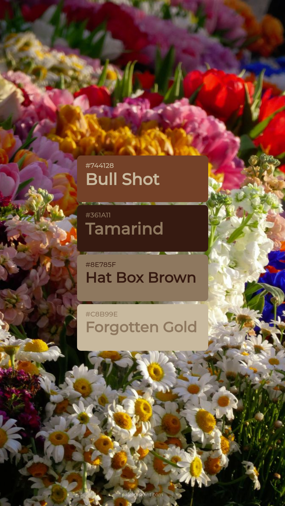 Bull Shot & Tamarind palette card