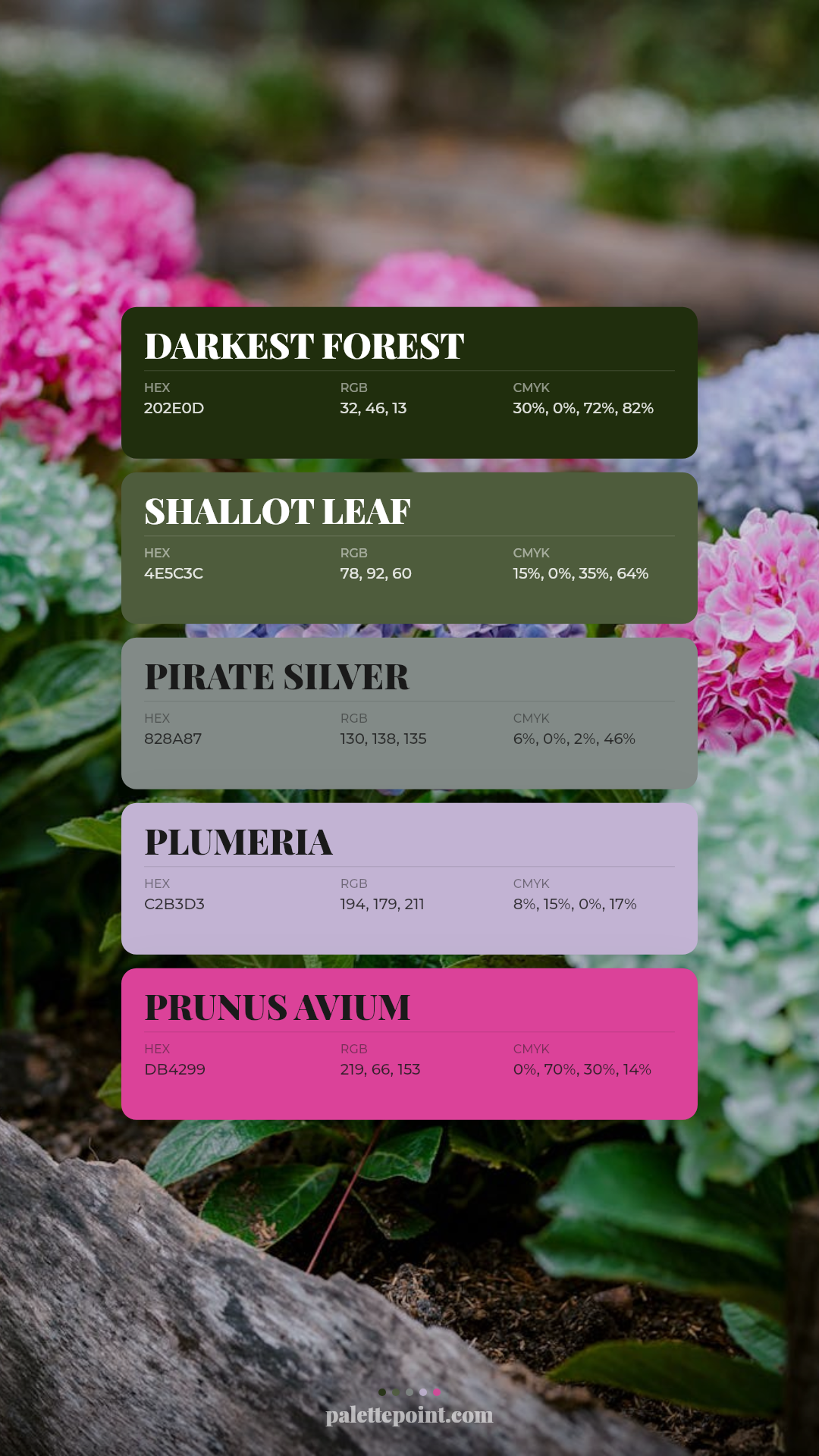 Lush Darkest Forest Essence palette card