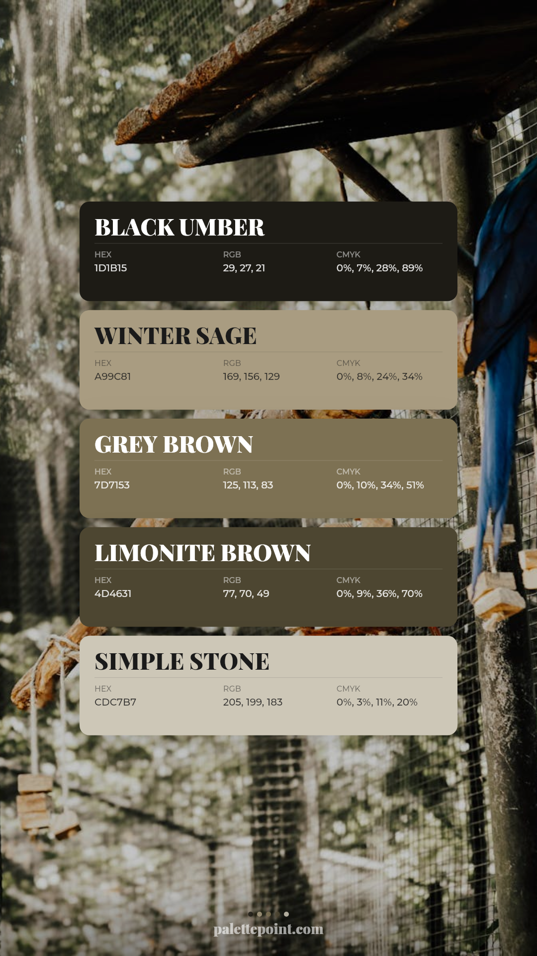 Elegant Black Umber Mood palette card