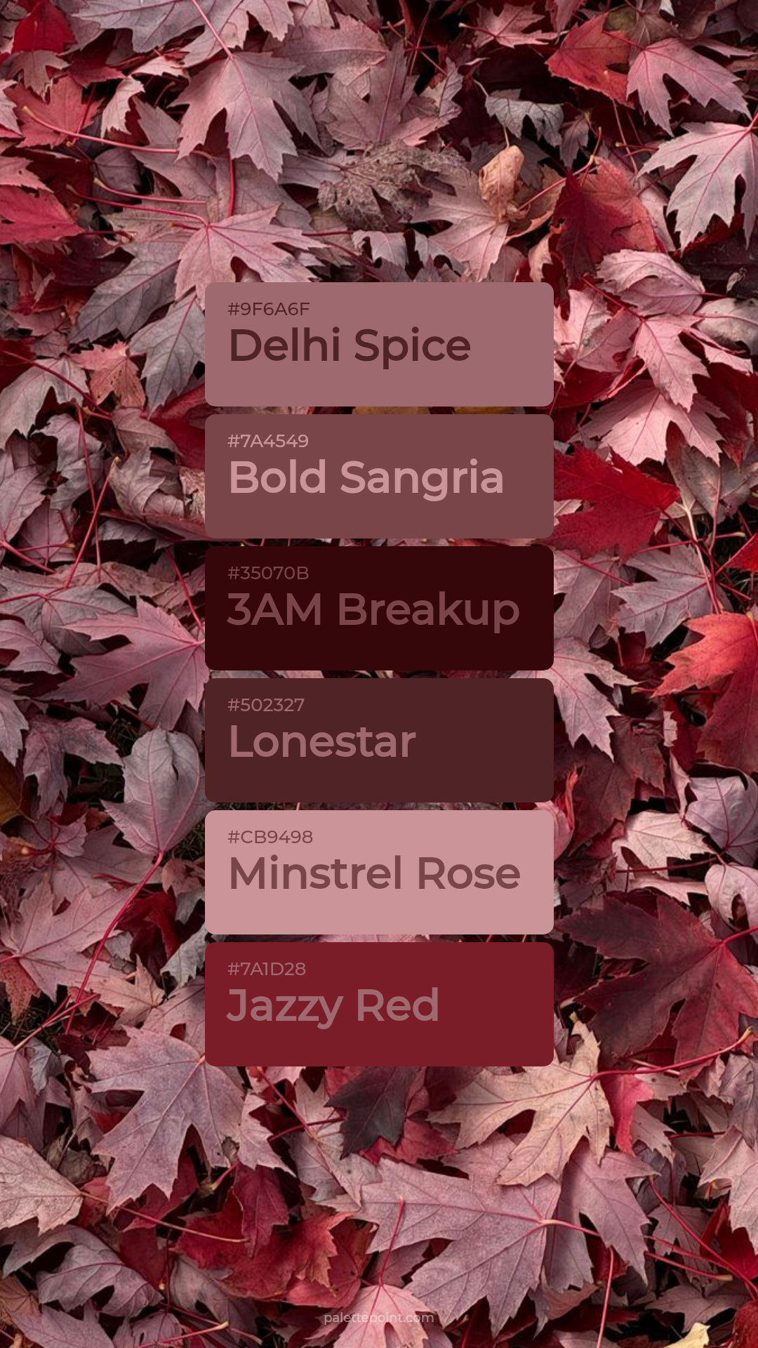 Subtle Delhi Spice Composition palette card