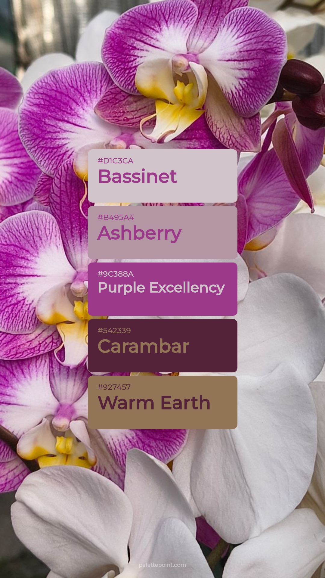 Bassinet & Ashberry palette card