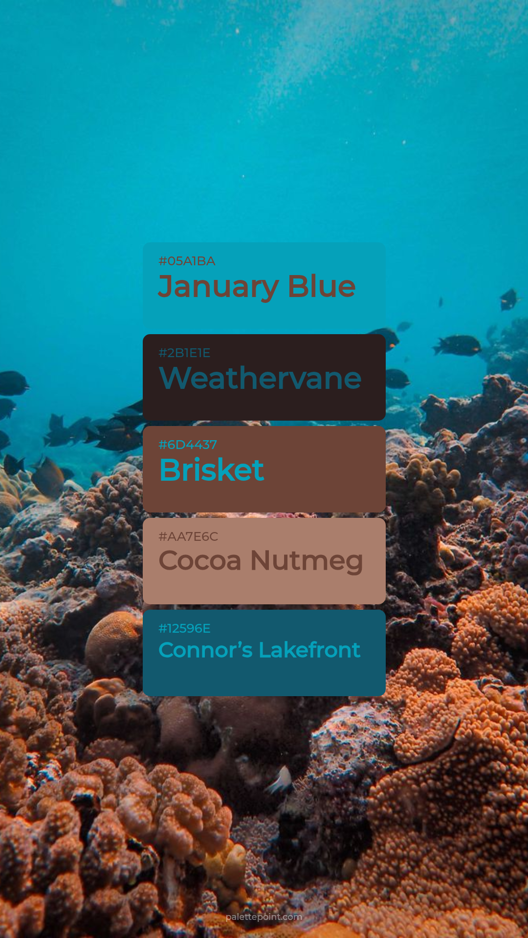 January Blue & Weathervane palette card