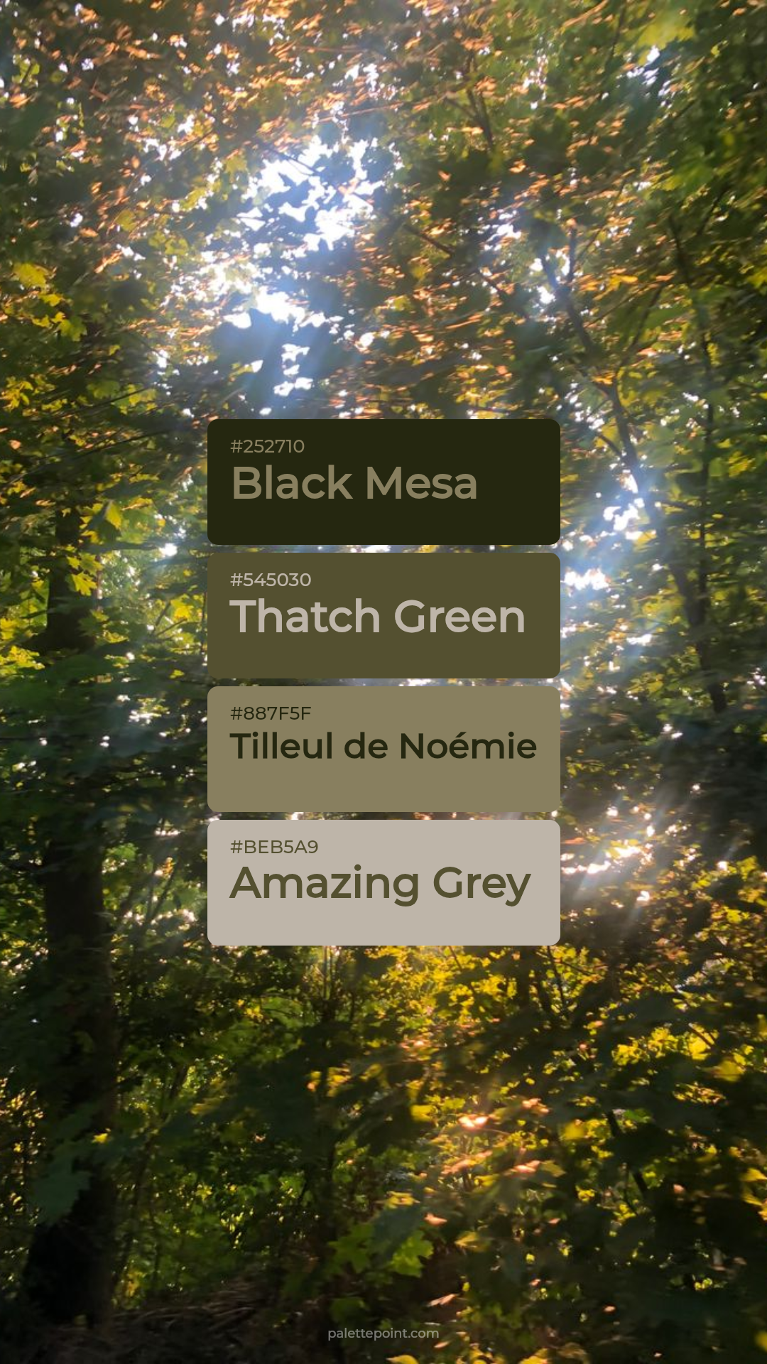 Radiant Black Mesa Blend palette card