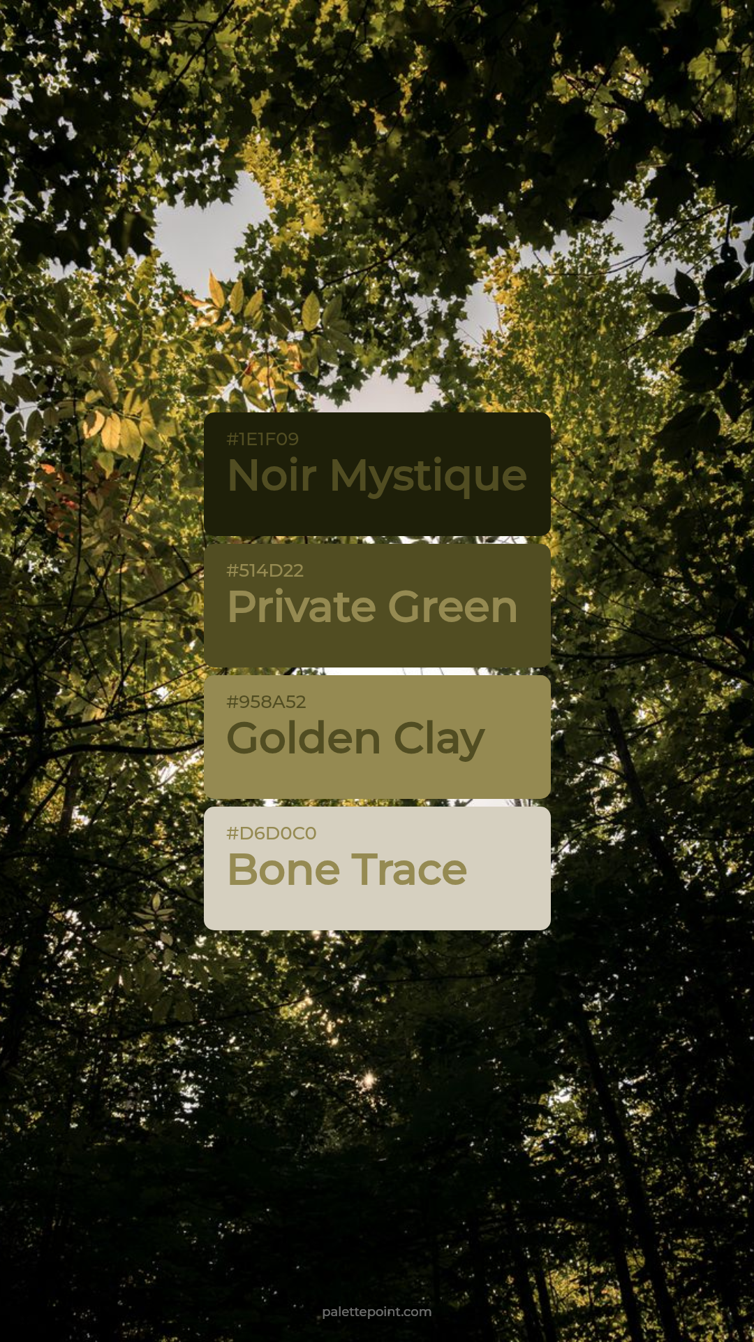 Noir Mystique & Private Green palette card