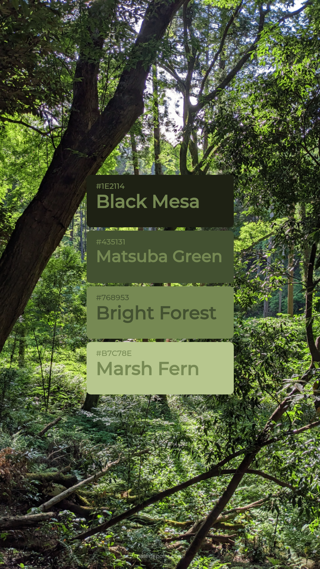 Lush Black Mesa Collection palette card