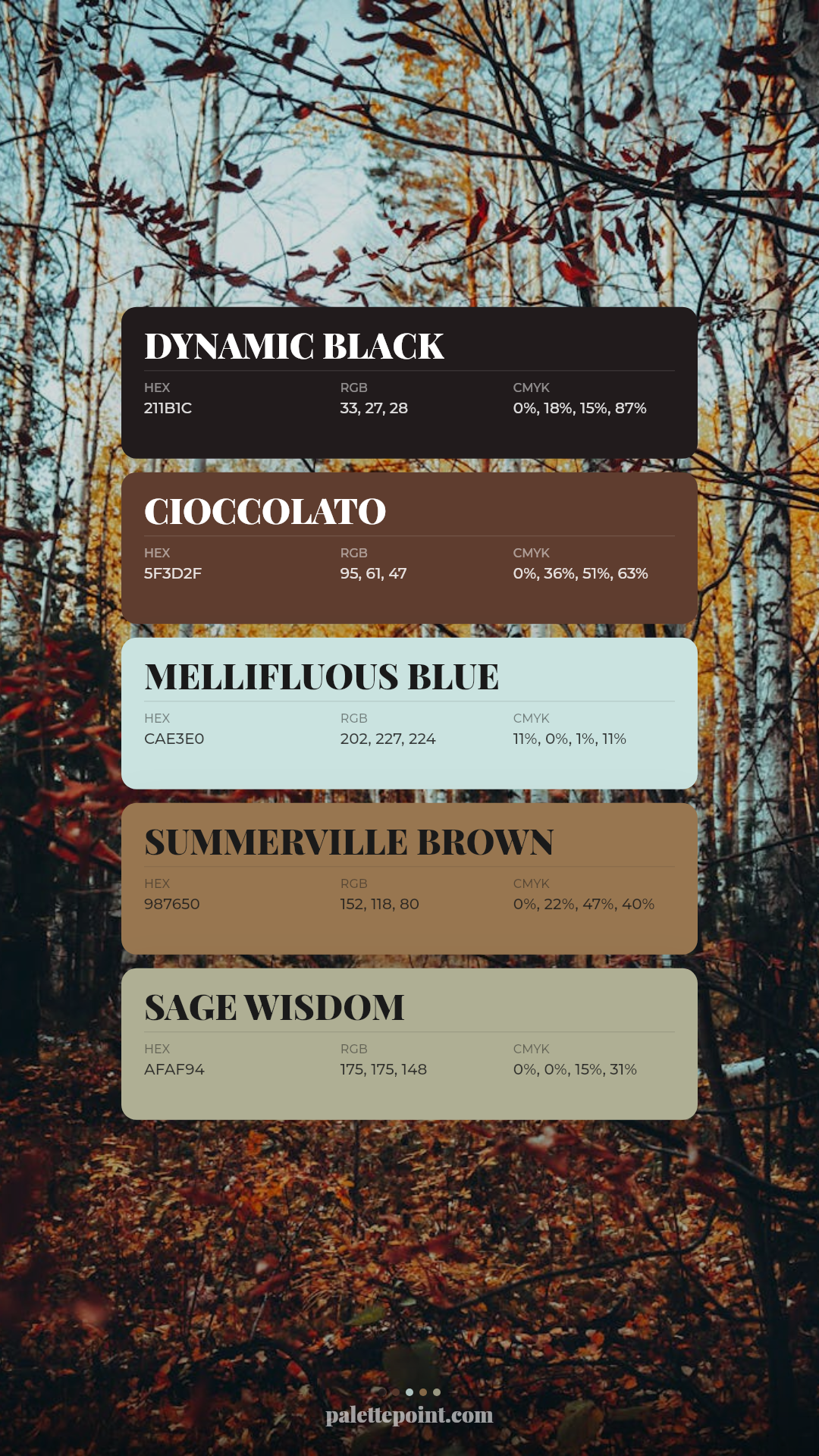 Dynamic Black Composition palette card