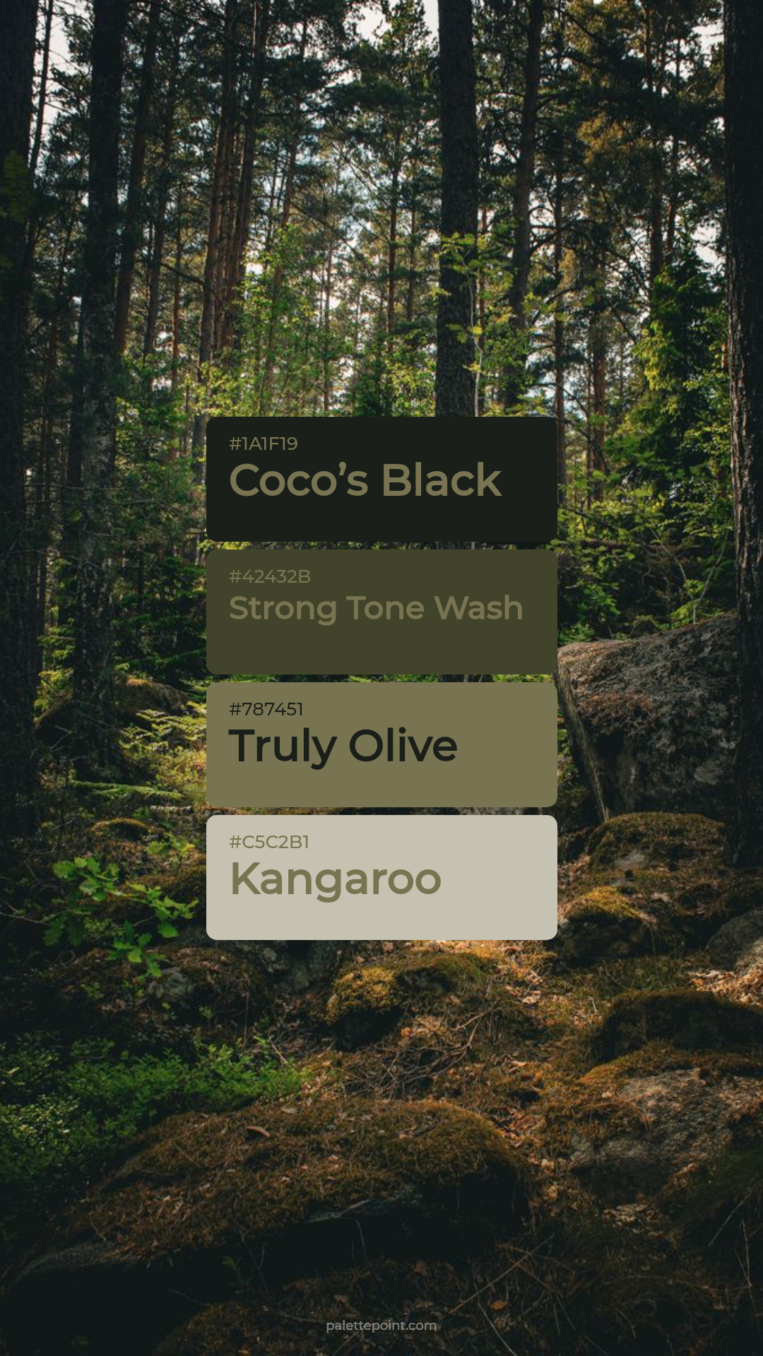 Coco’s Black & Strong Tone Wash palette card