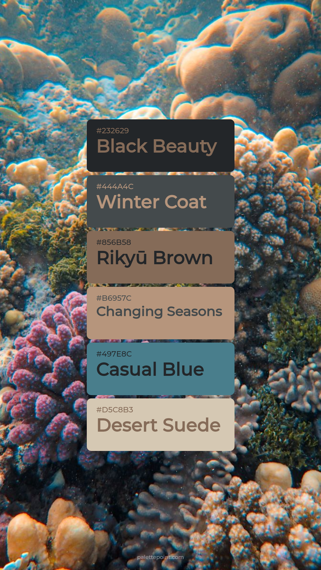 Black Beauty Tones palette card