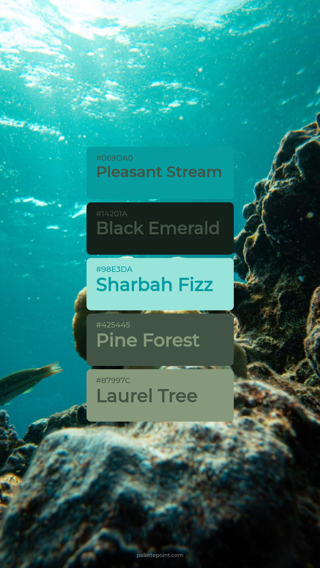 Pleasant Stream & Black Emerald palette card