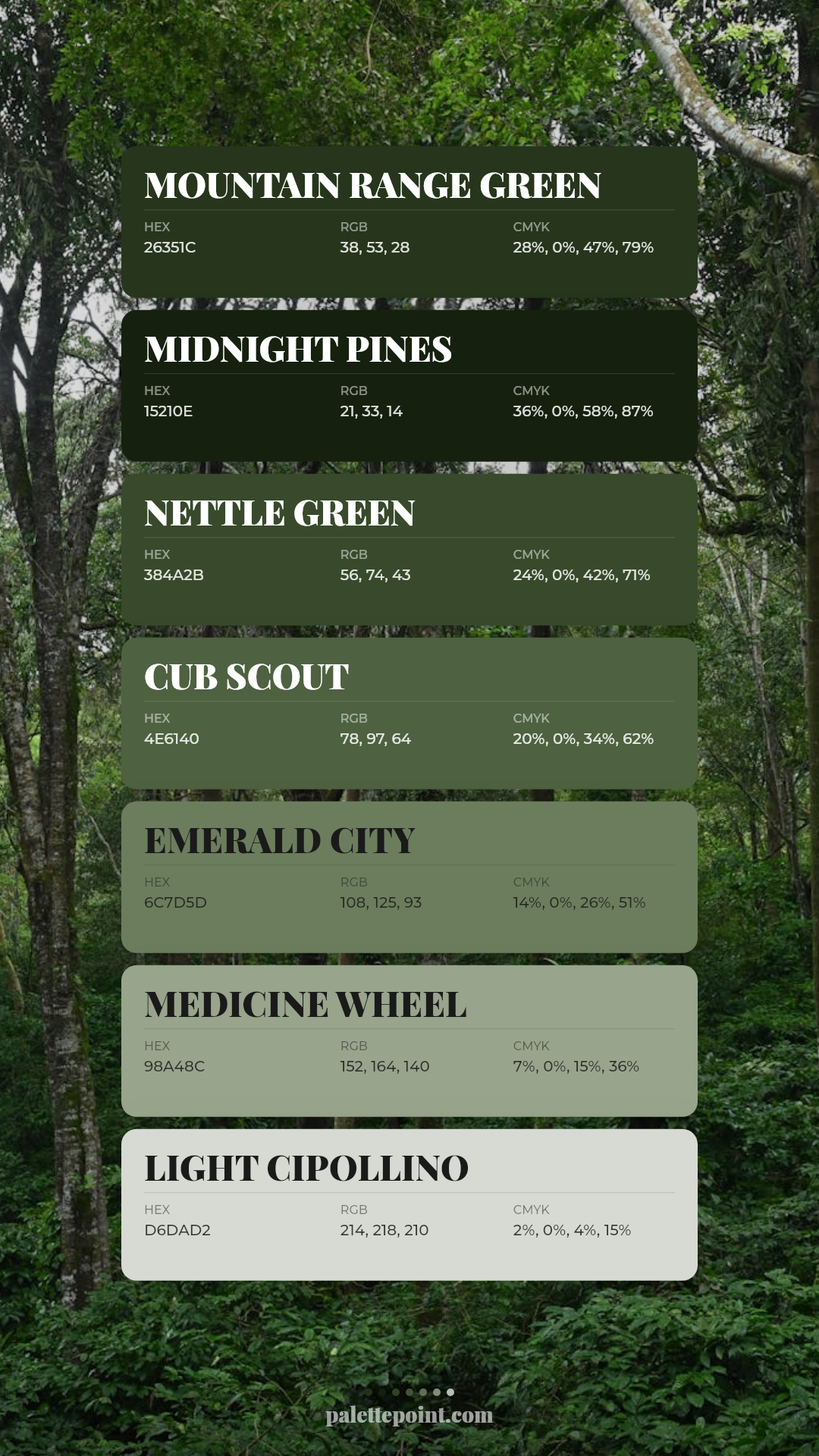 Rustic Hues palette card