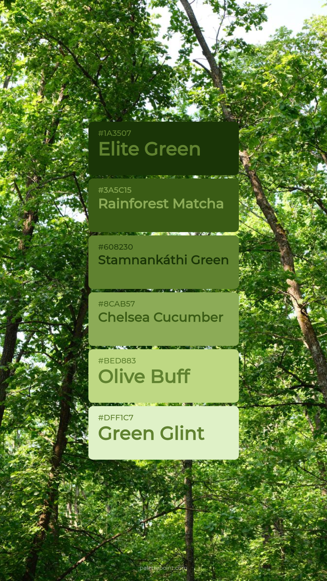 Elite Green & Rainforest Matcha palette card