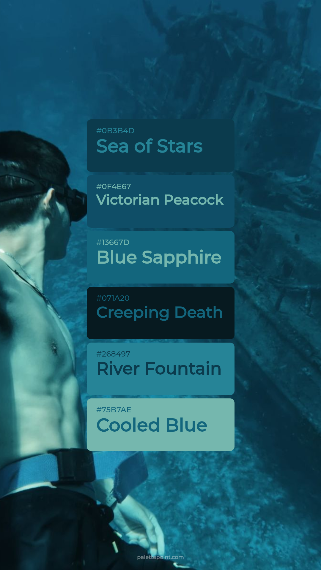 Sea of Stars & Victorian Peacock palette card
