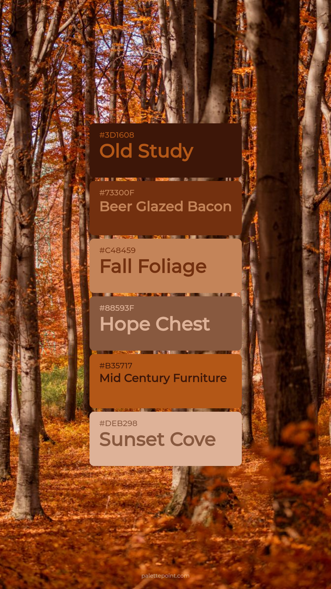 Old Study Essence palette card