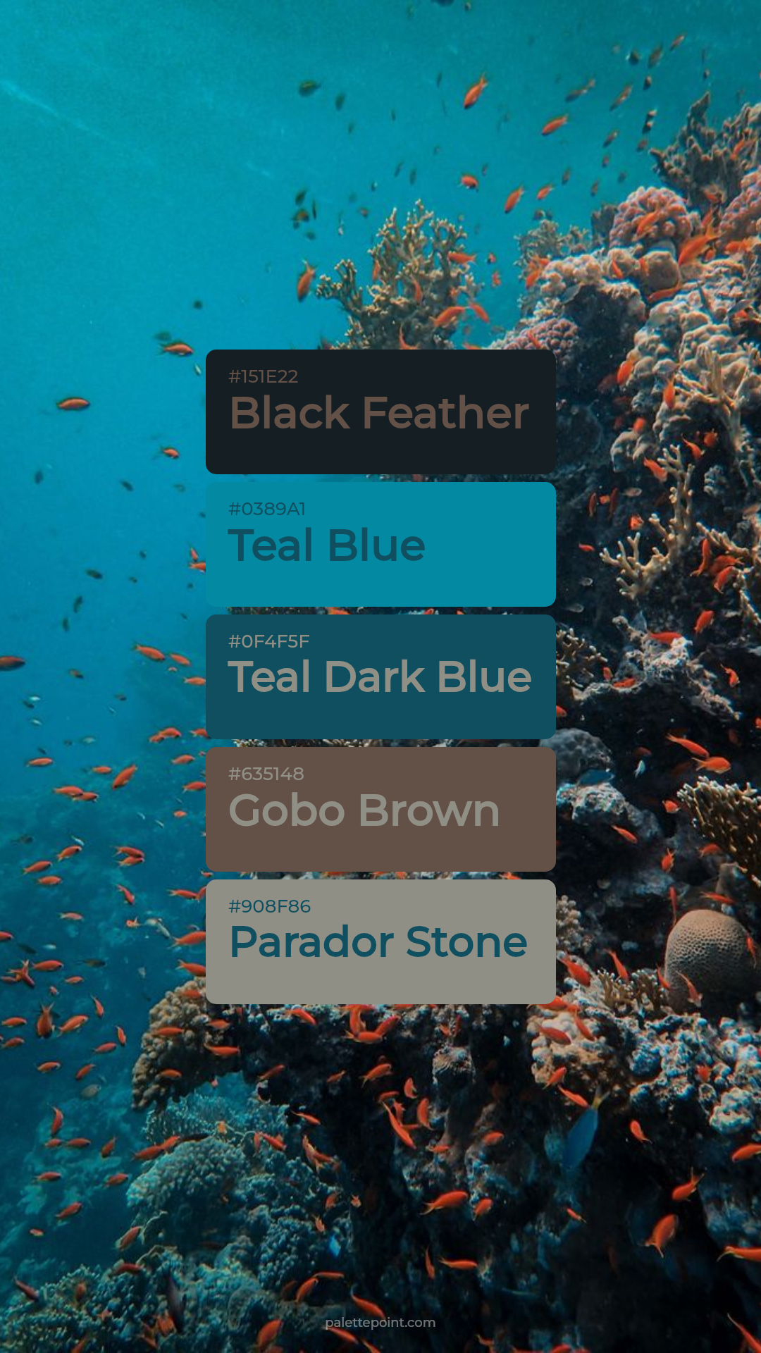 Black Feather Essence palette card