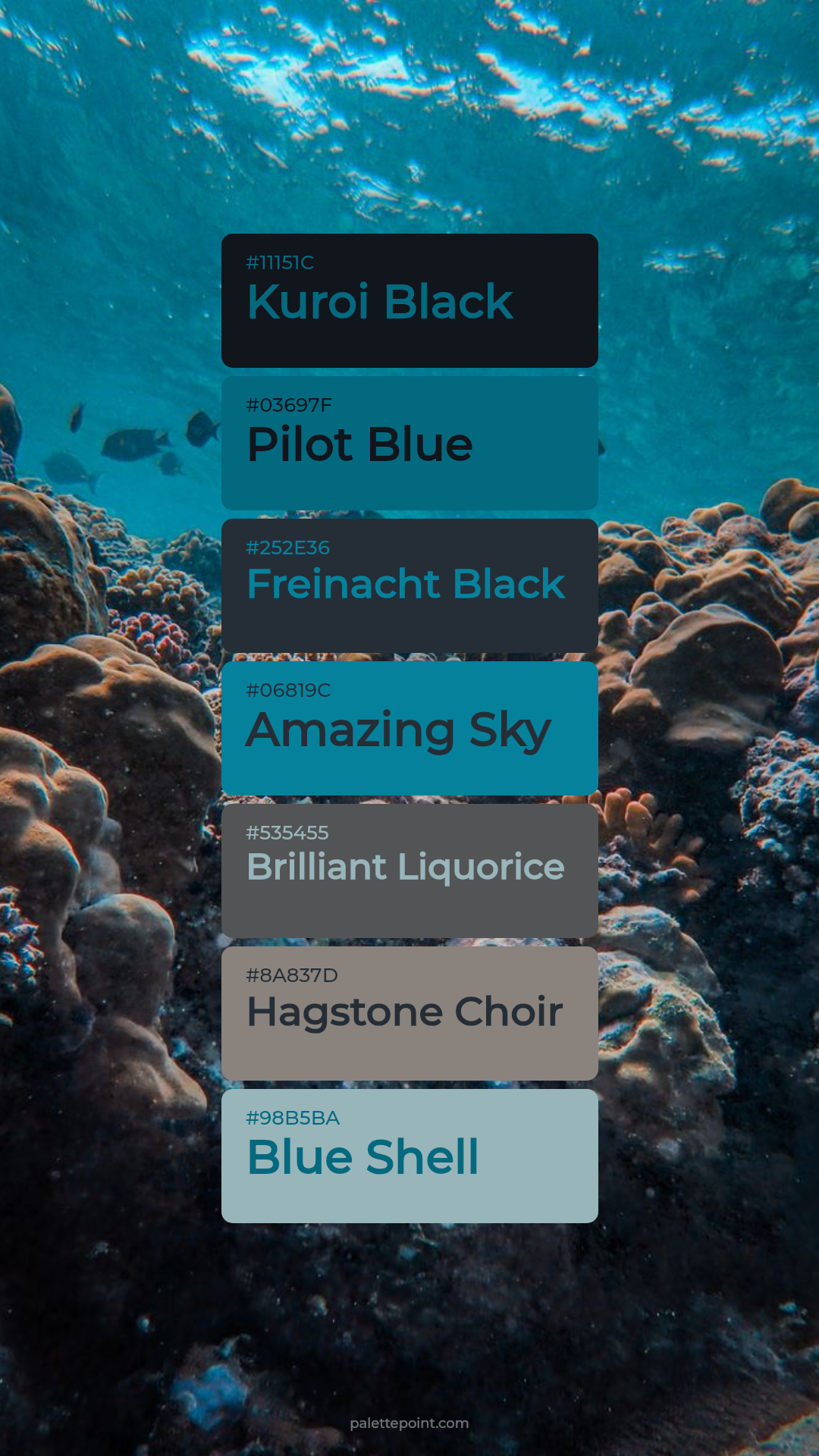 Natural Kuroi Black Essence palette card