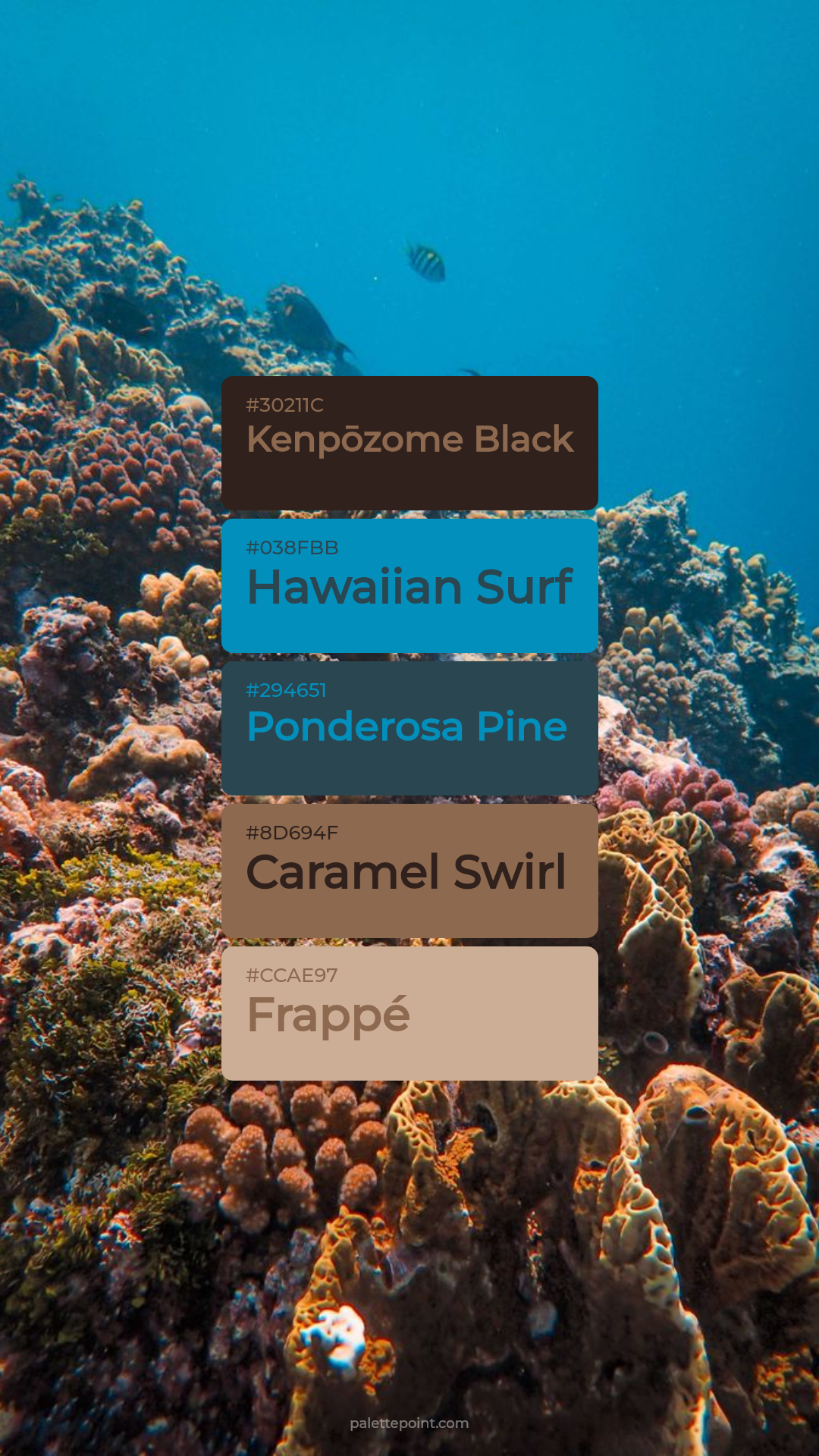 Rustic Kenpōzome Black Tones palette card