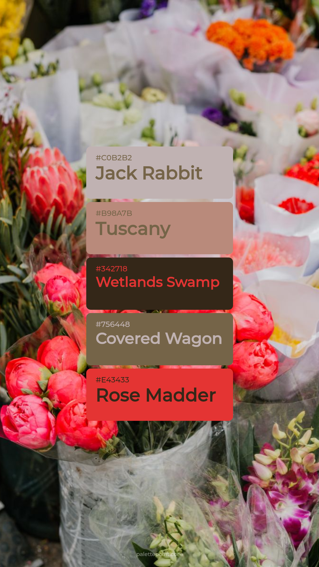 Jack Rabbit Tones palette card