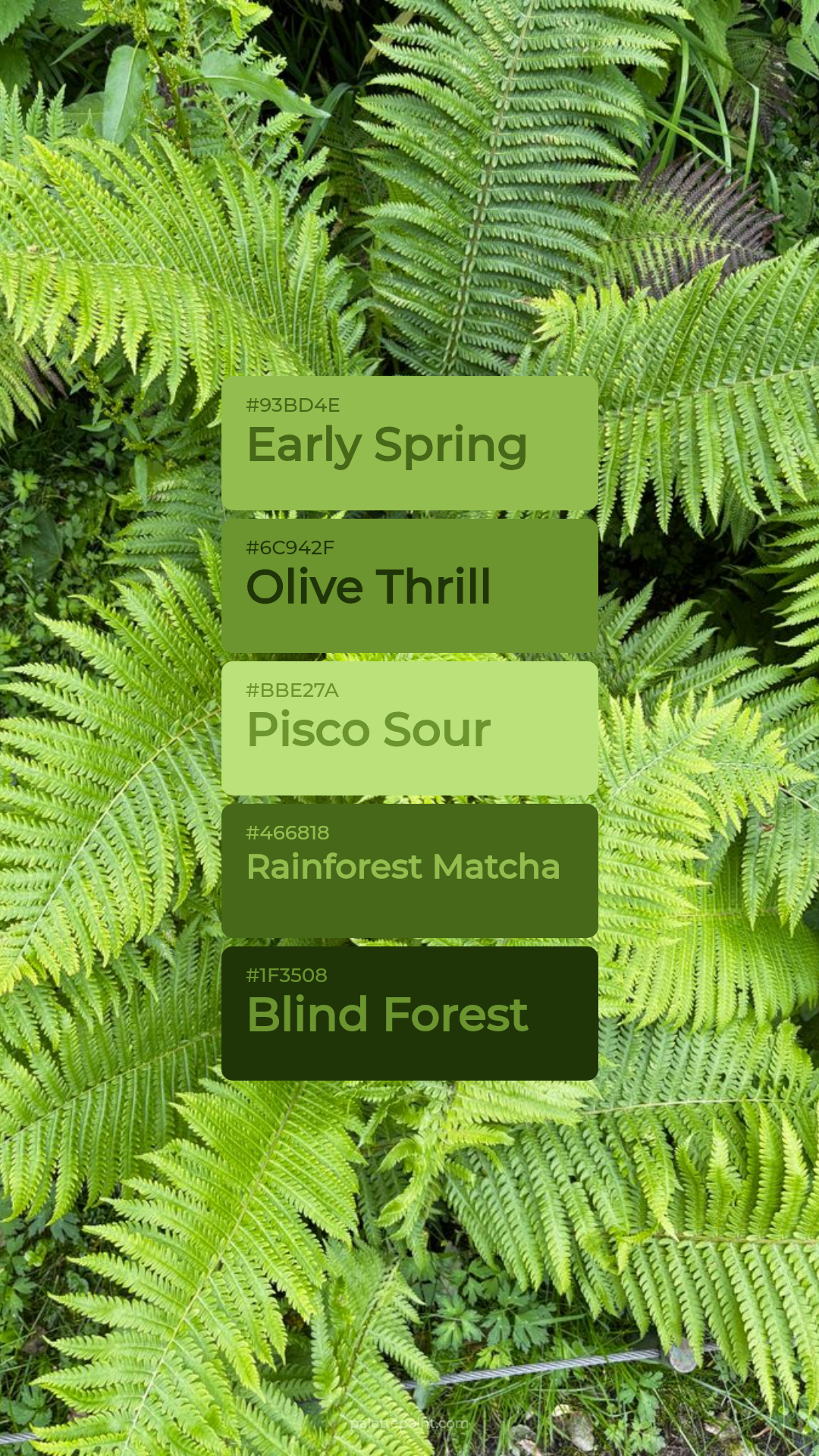 Early Spring Collection palette card