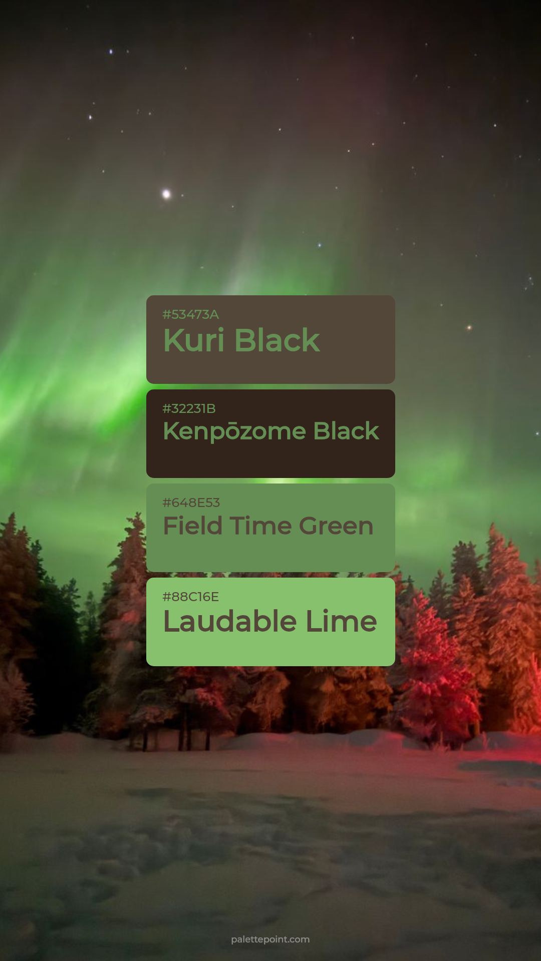 Tranquil Kuri Black Medley palette card