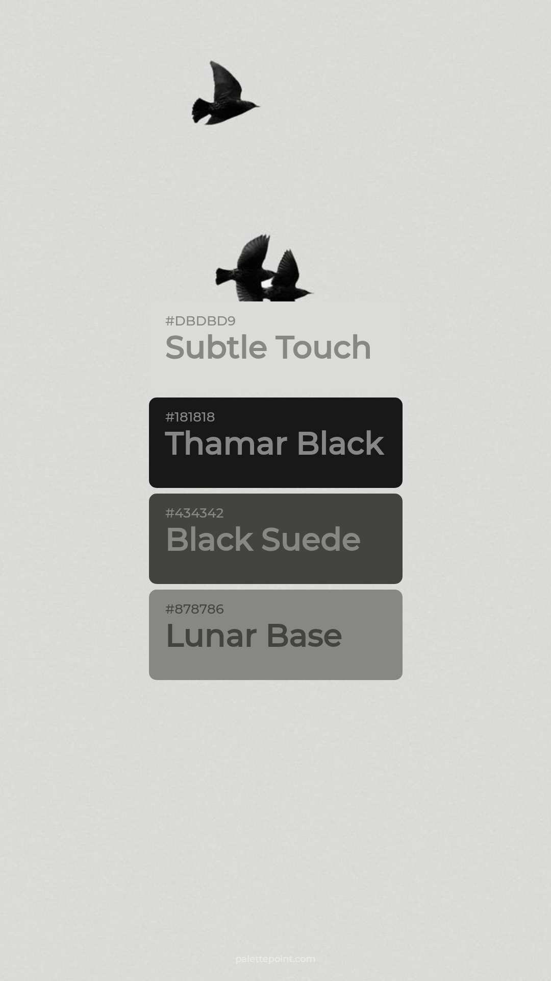 Natural Subtle Touch Tones palette card
