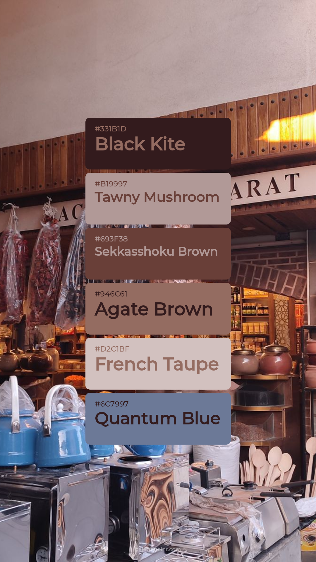 Black Kite & Tawny Mushroom palette card