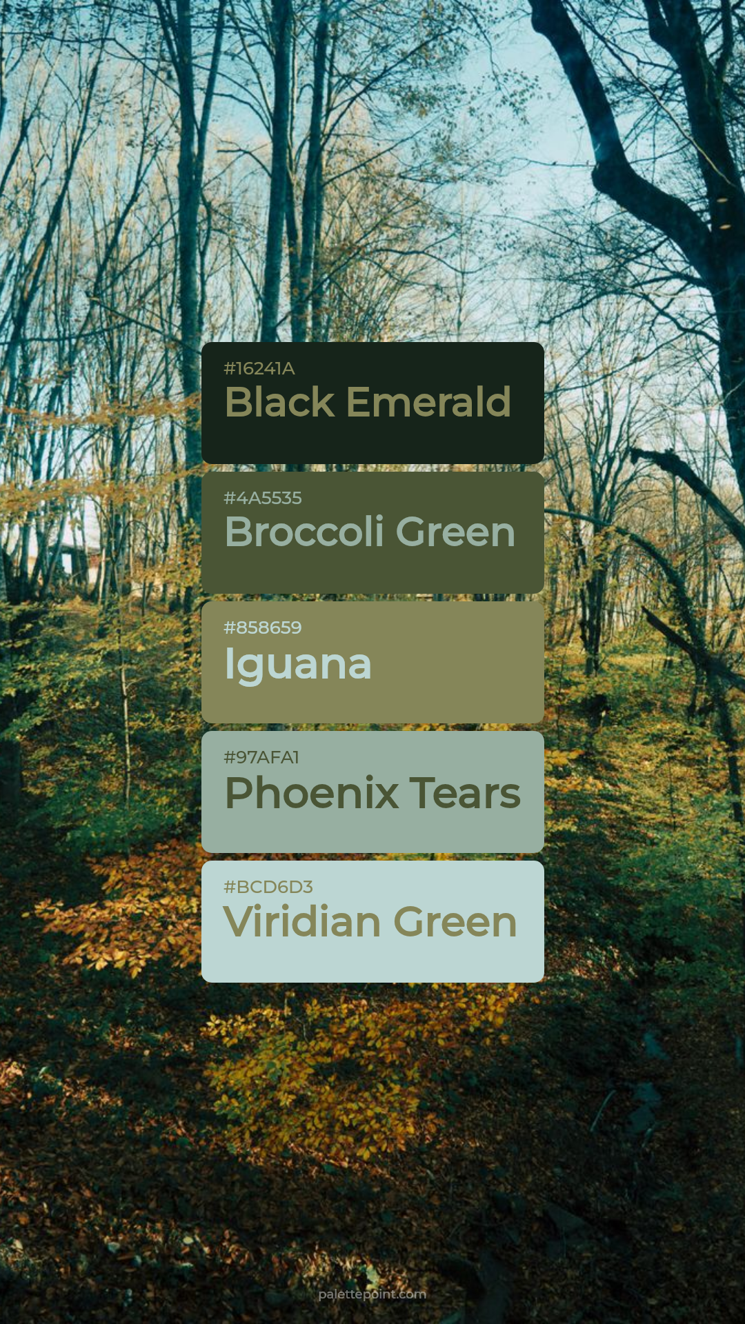 Black Emerald Mood palette card