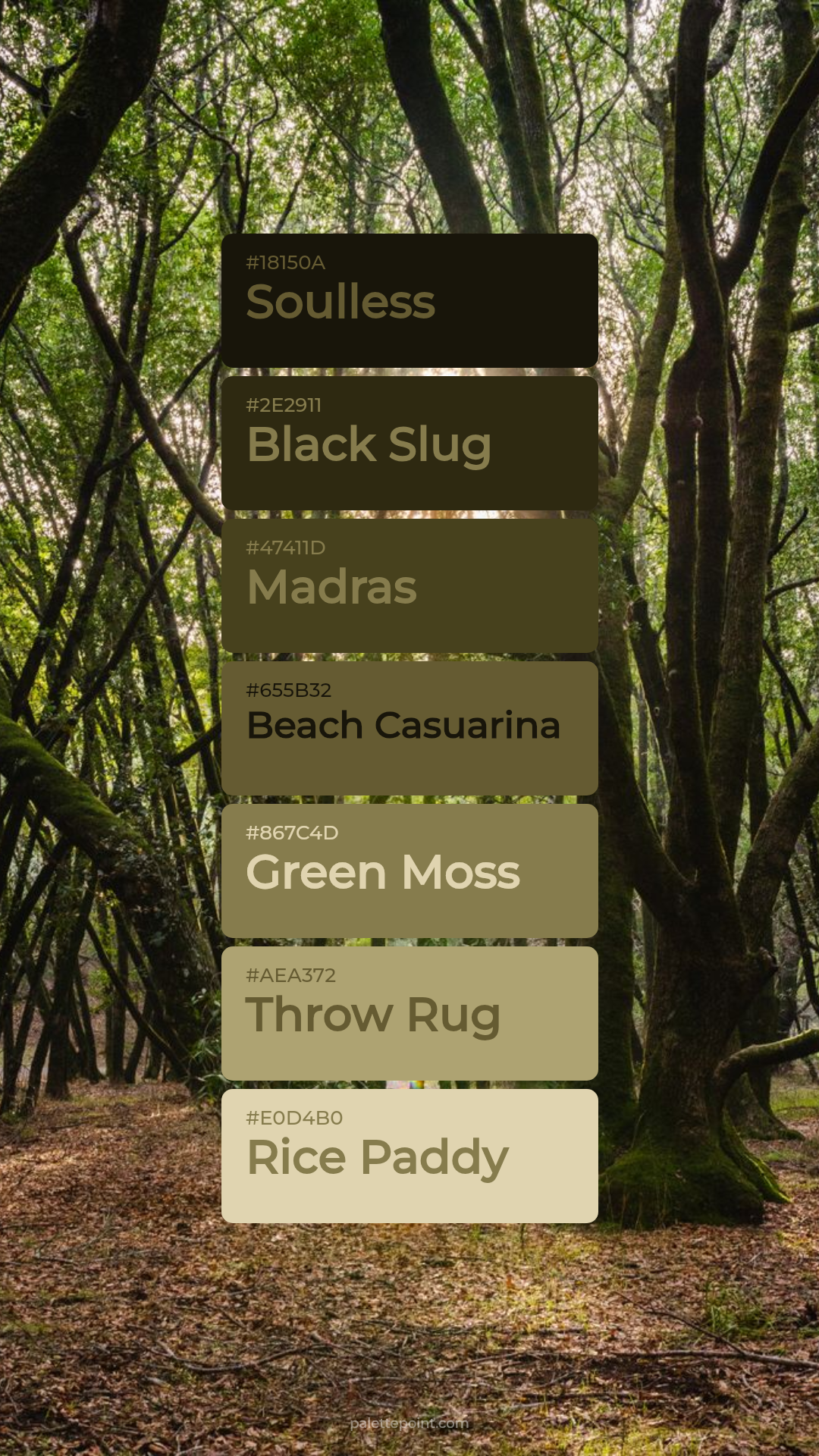 Earthy Soulless Composition palette card