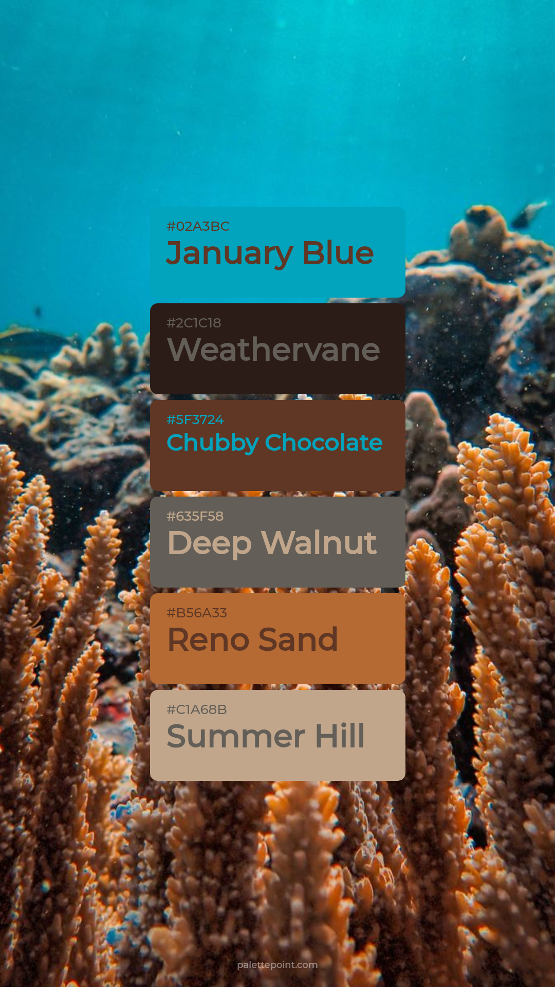 Dreamy January Blue Harmony palette card