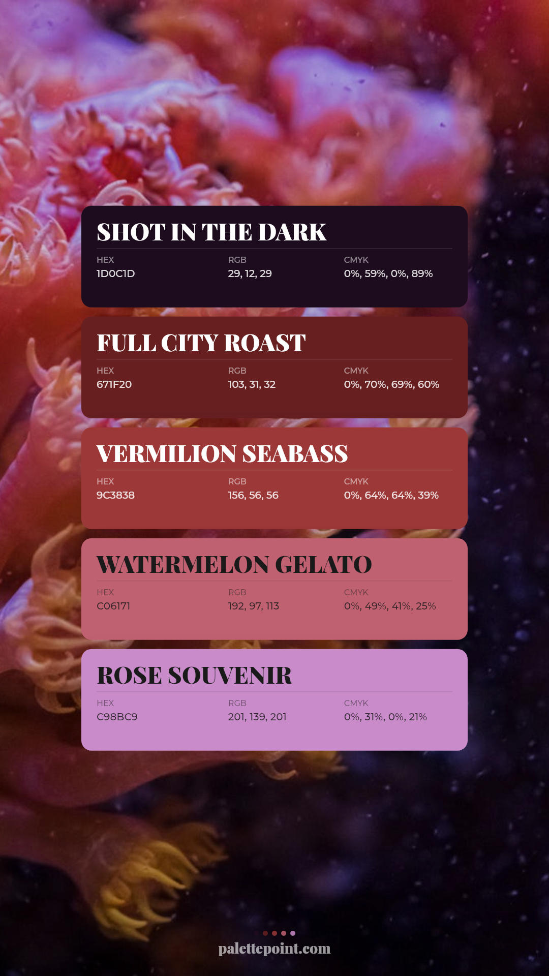 Vibrant Shot in the Dark Collection palette card
