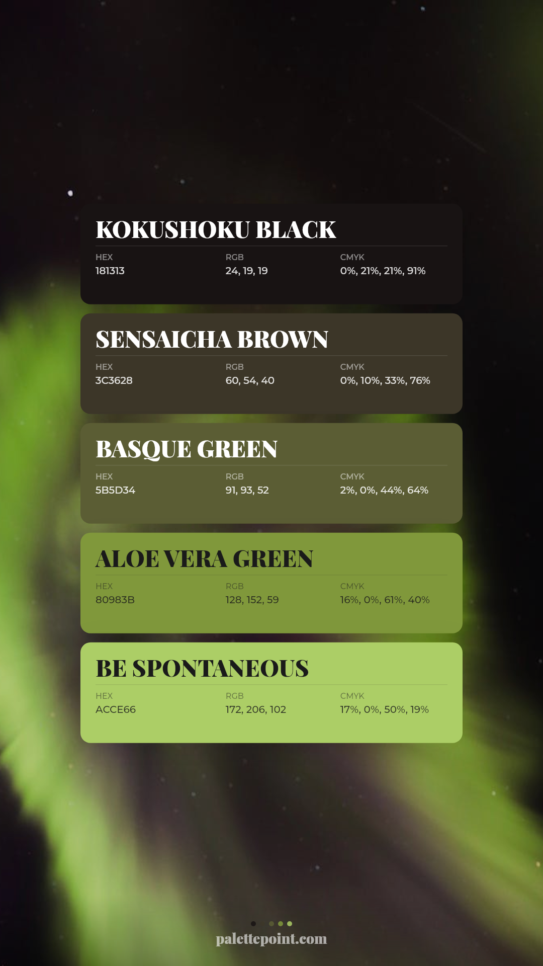 Vivid Kokushoku Black Collection palette card