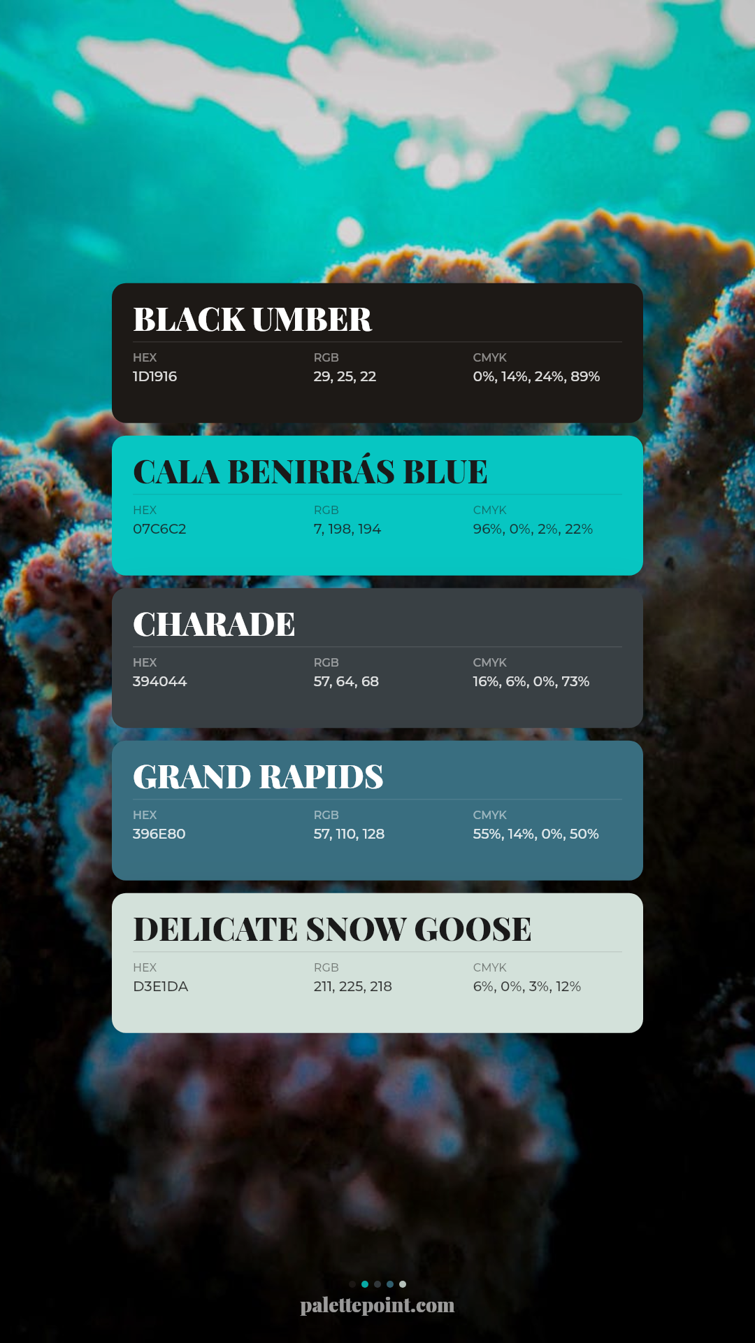 Black Umber & Cala Benirrás Blue card