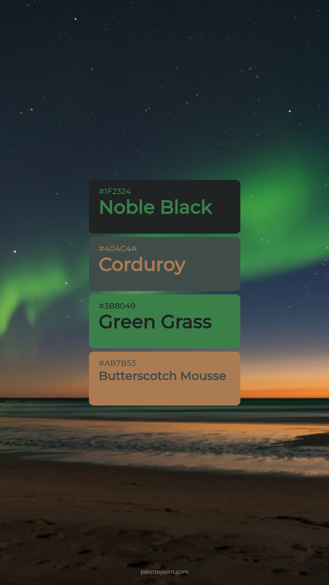 Elegant Noble Black Spectrum palette card