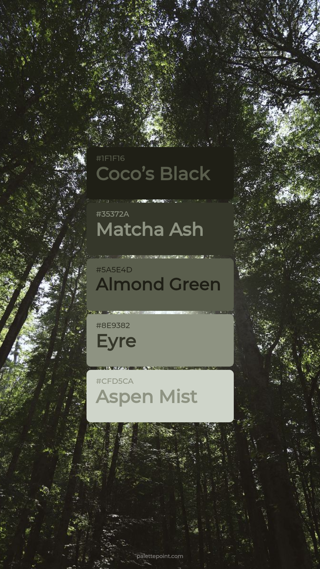 Coco’s Black Collection palette card