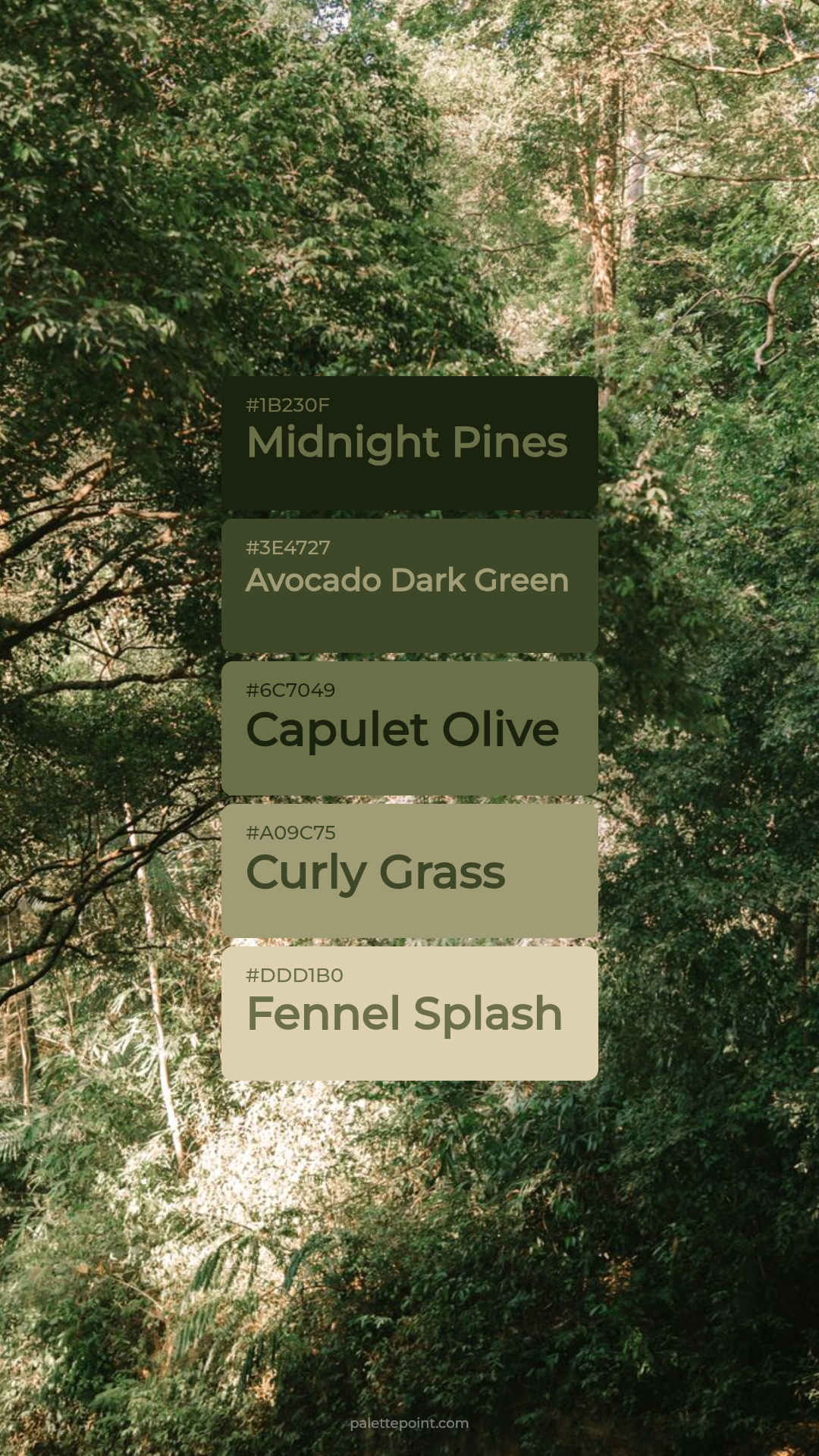 Vivid Midnight Pines Composition palette card