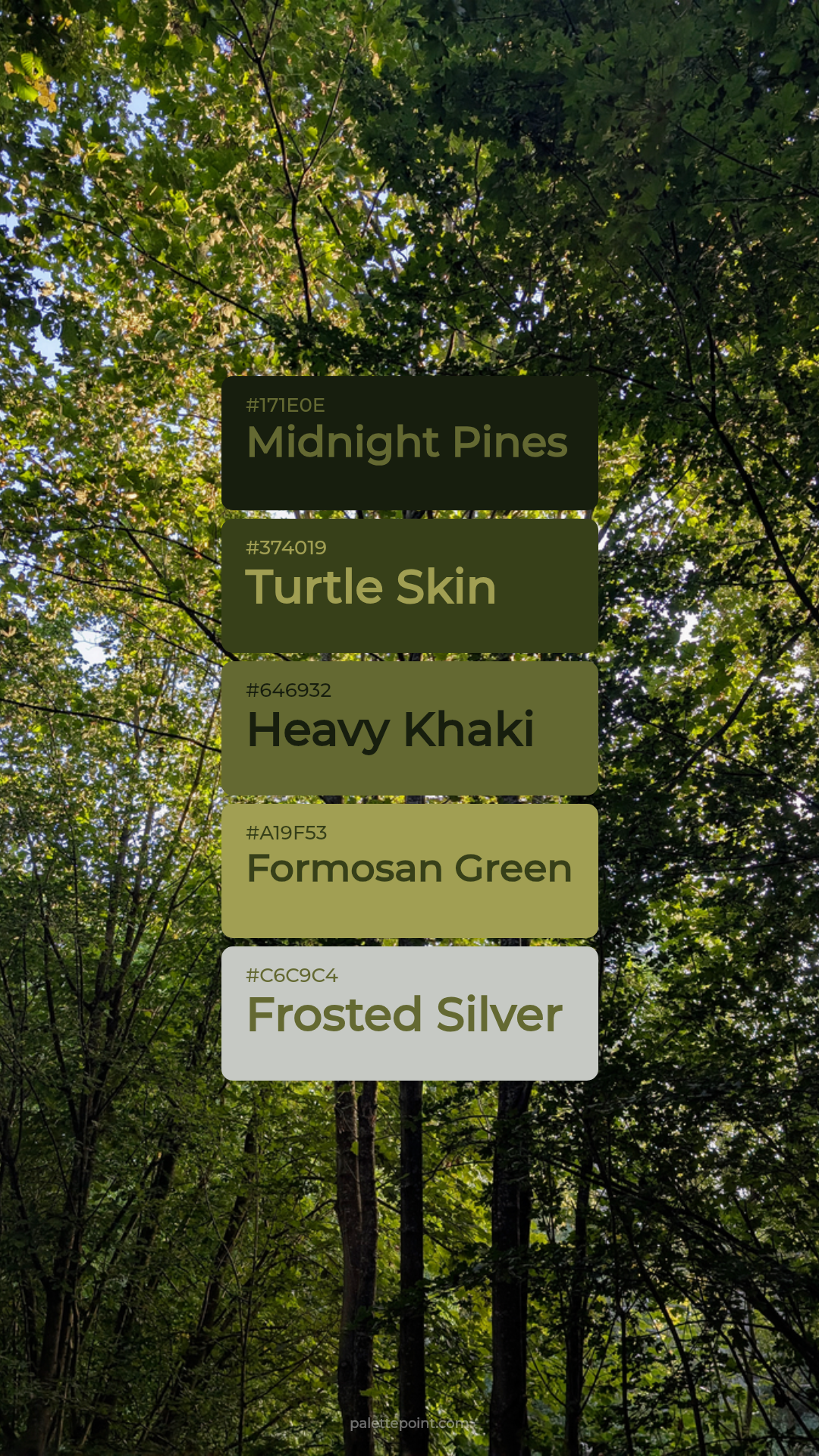 Midnight Pines Tones palette card