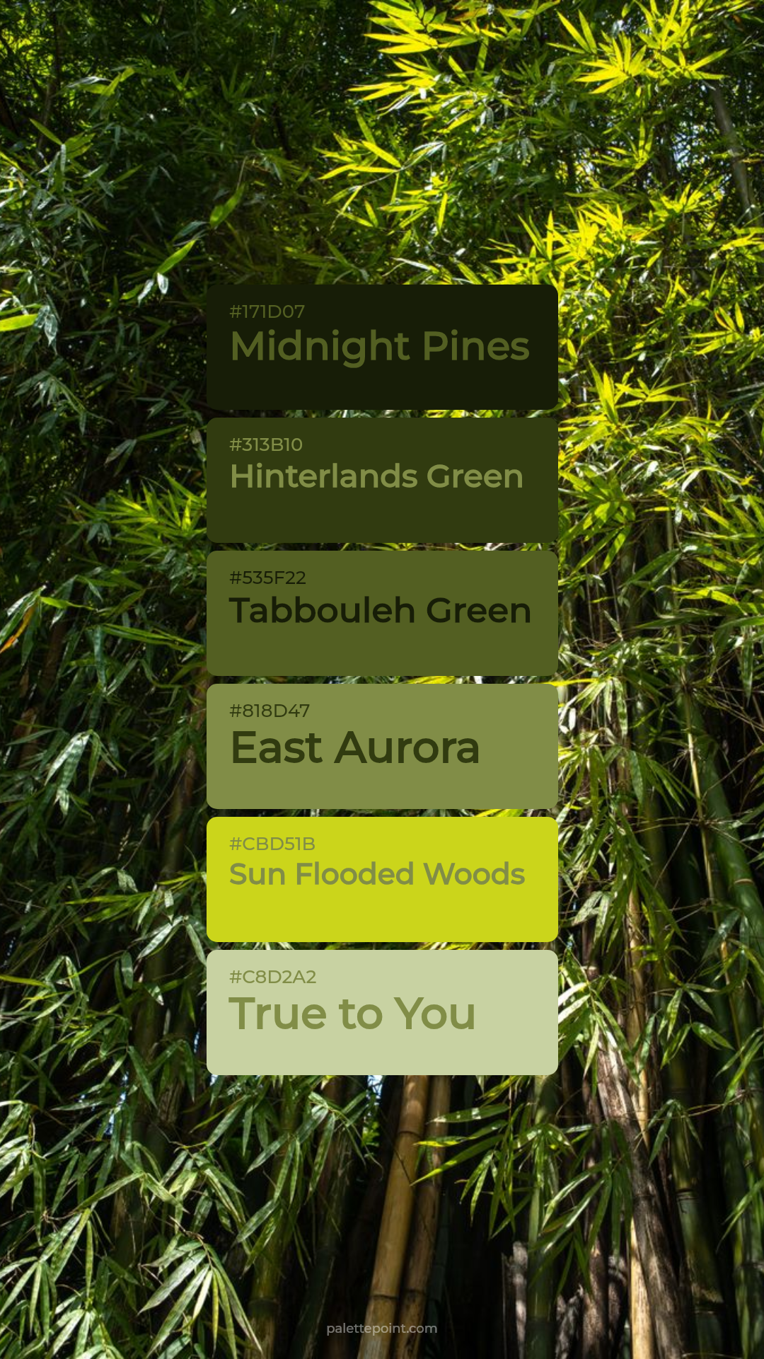 Midnight Pines Hues palette card
