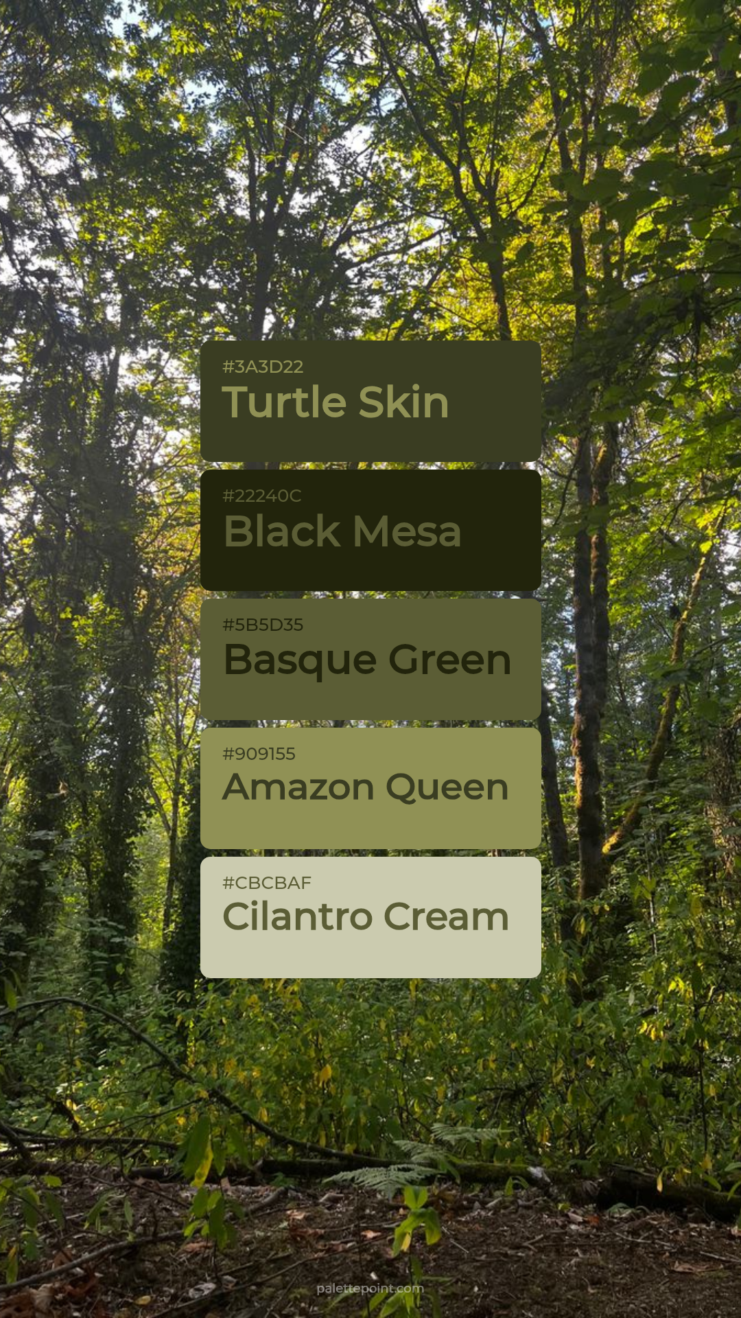 Rustic Turtle Skin Medley palette card