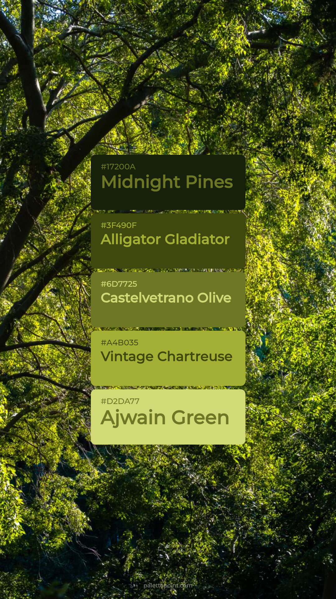 Midnight Pines & Alligator Gladiator palette card