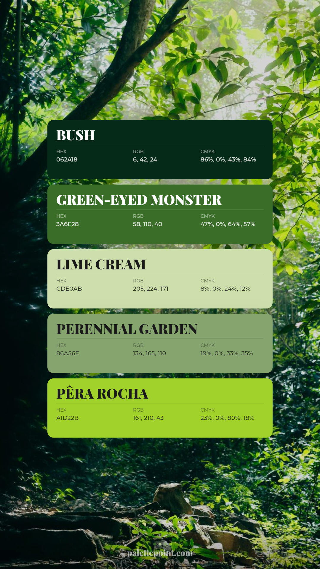 Delicate Bush Spectrum card