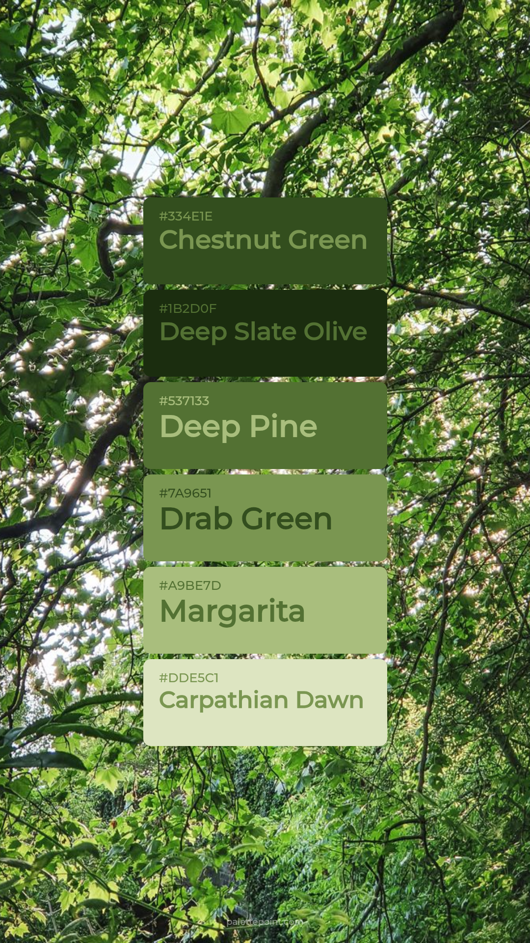 Earthy Chestnut Green Canvas palette card