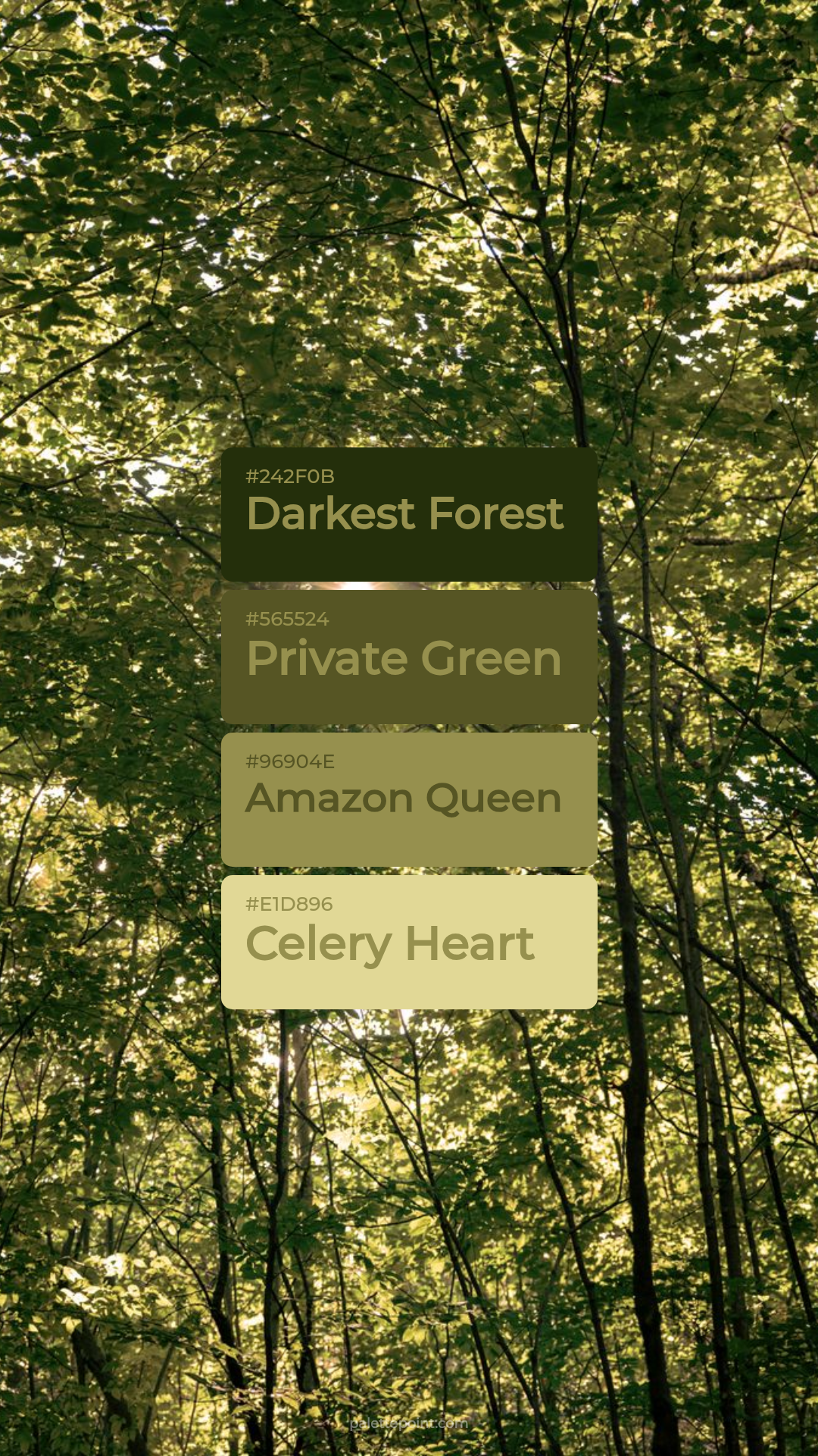 Darkest Forest & Private Green palette card