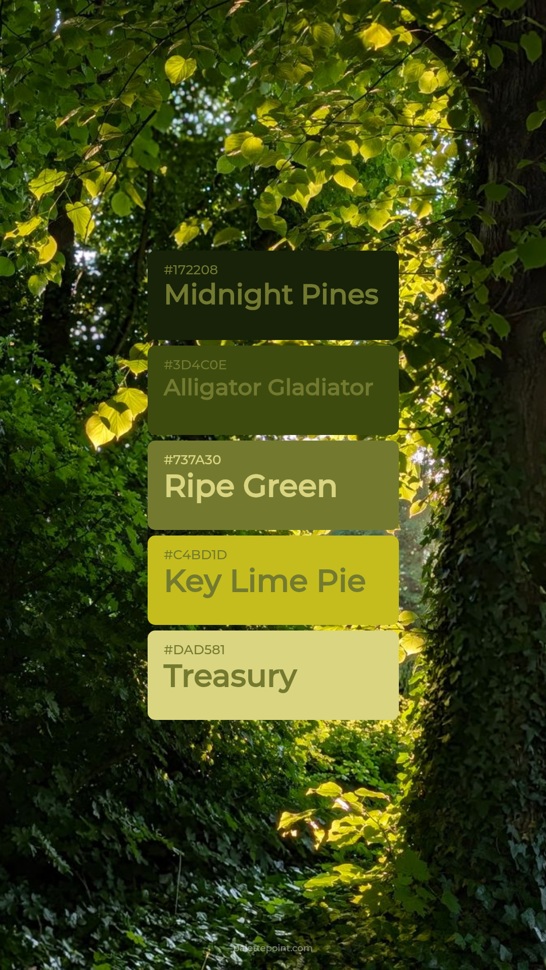 Radiant Midnight Pines Harmony palette card