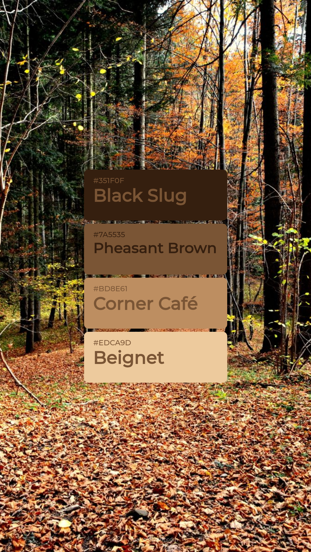 Black Slug & Pheasant Brown palette card