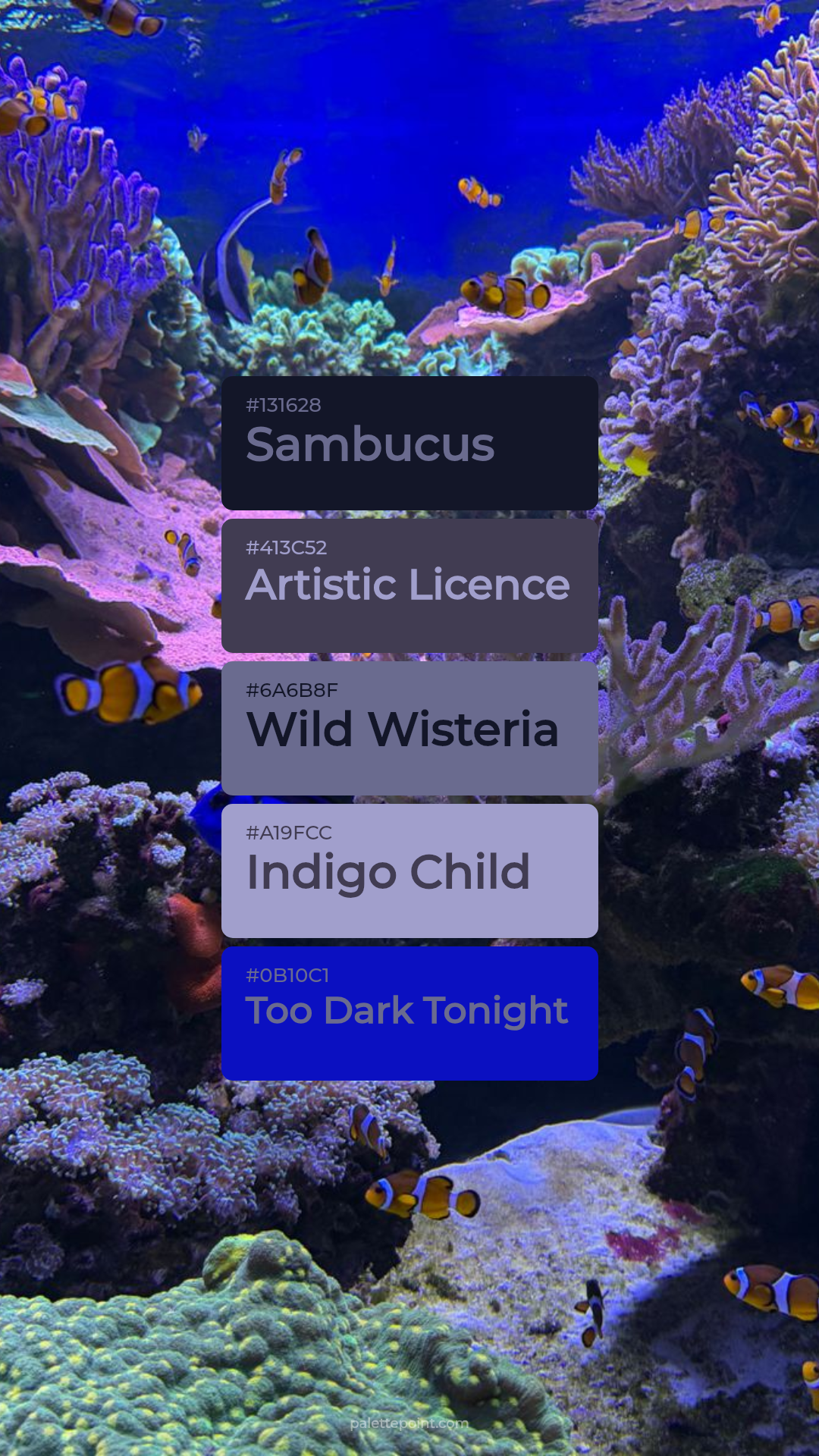 Warm Sambucus Blend palette card
