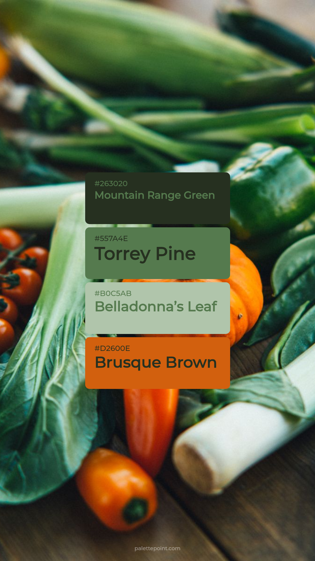 Mountain Range Green & Torrey Pine palette card